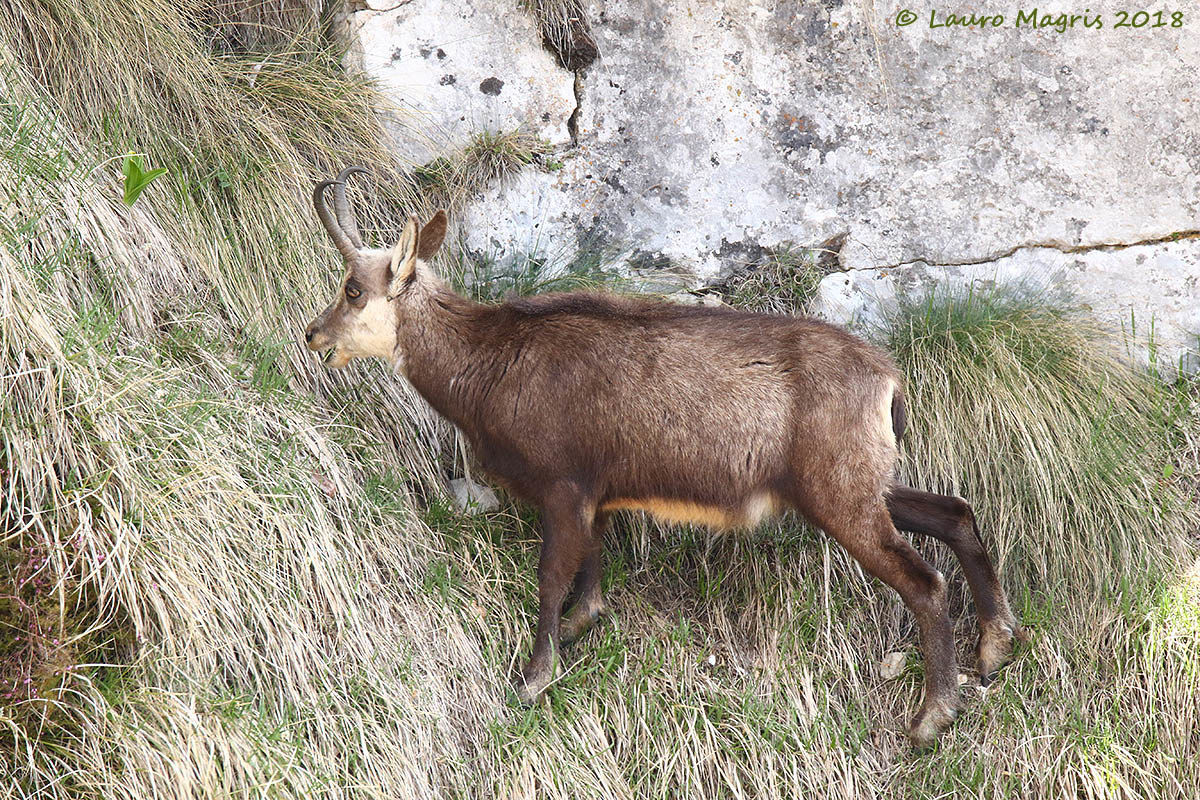 In Stable Equilibrium