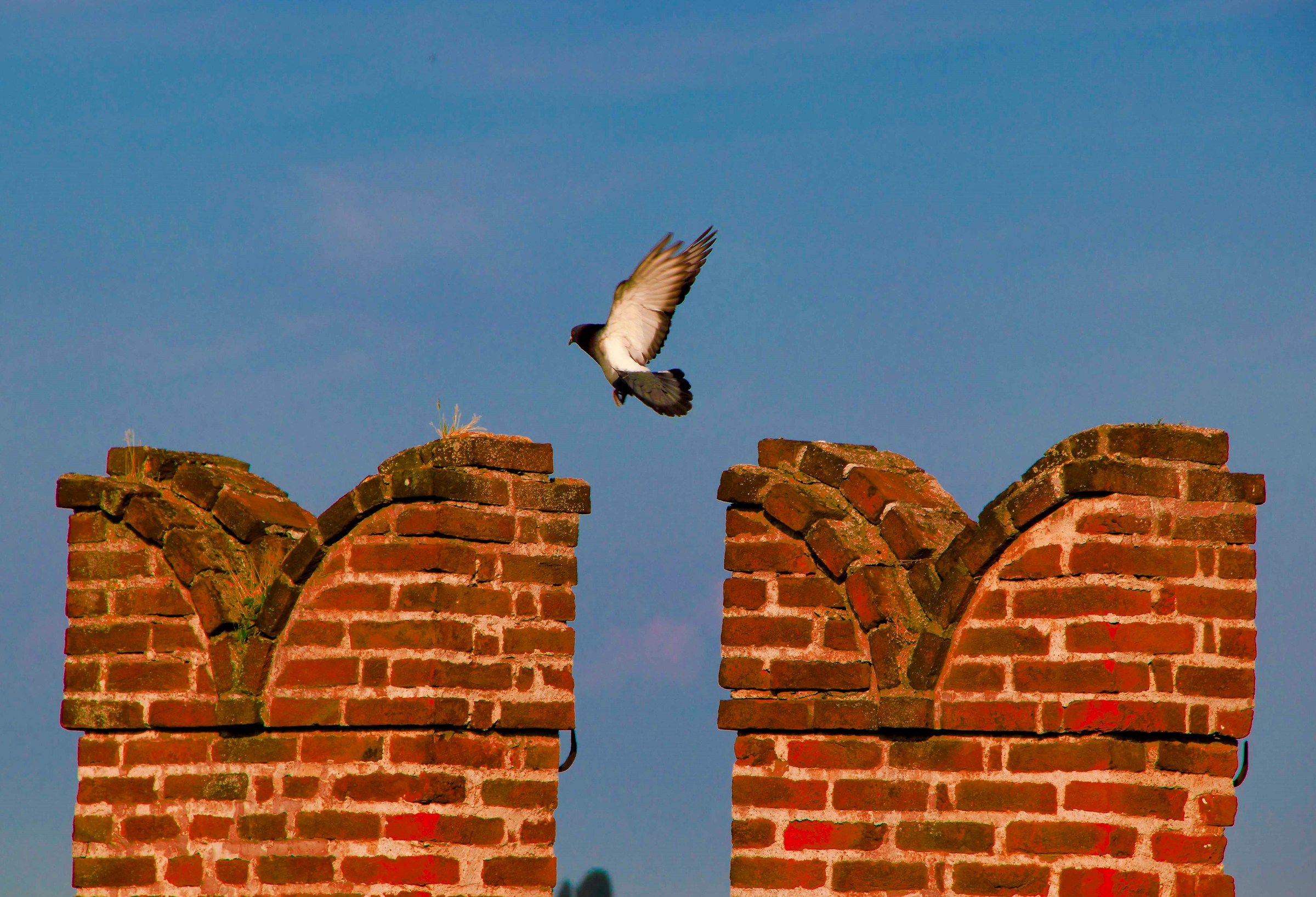 Flight between the towers