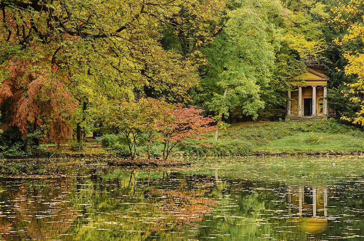 Reflections of autumn