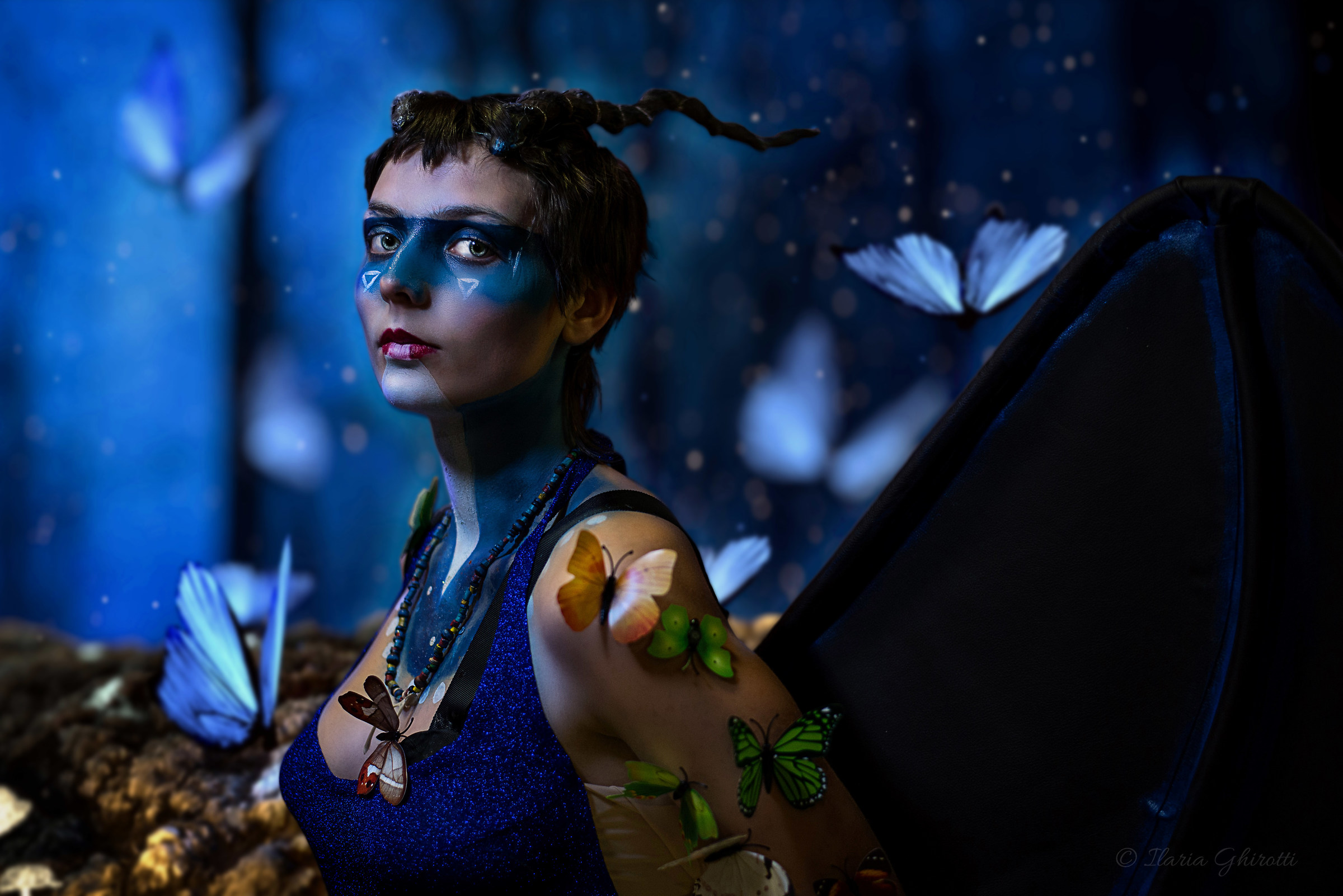 Nel bosco delle farfalle