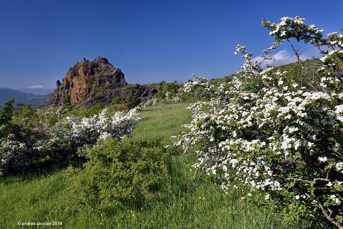 The Rock of San Zahir