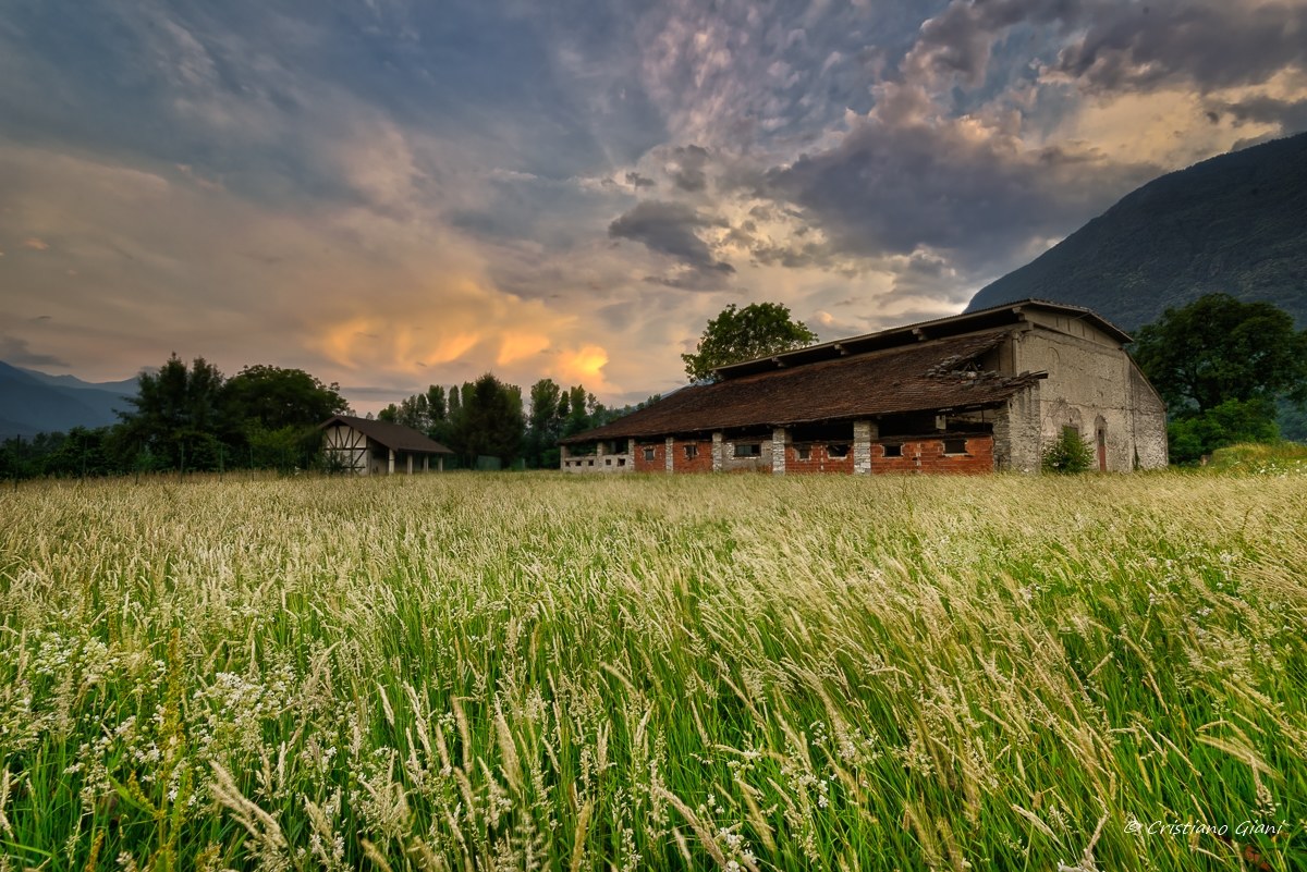 Nel ricordo di tempi migliori