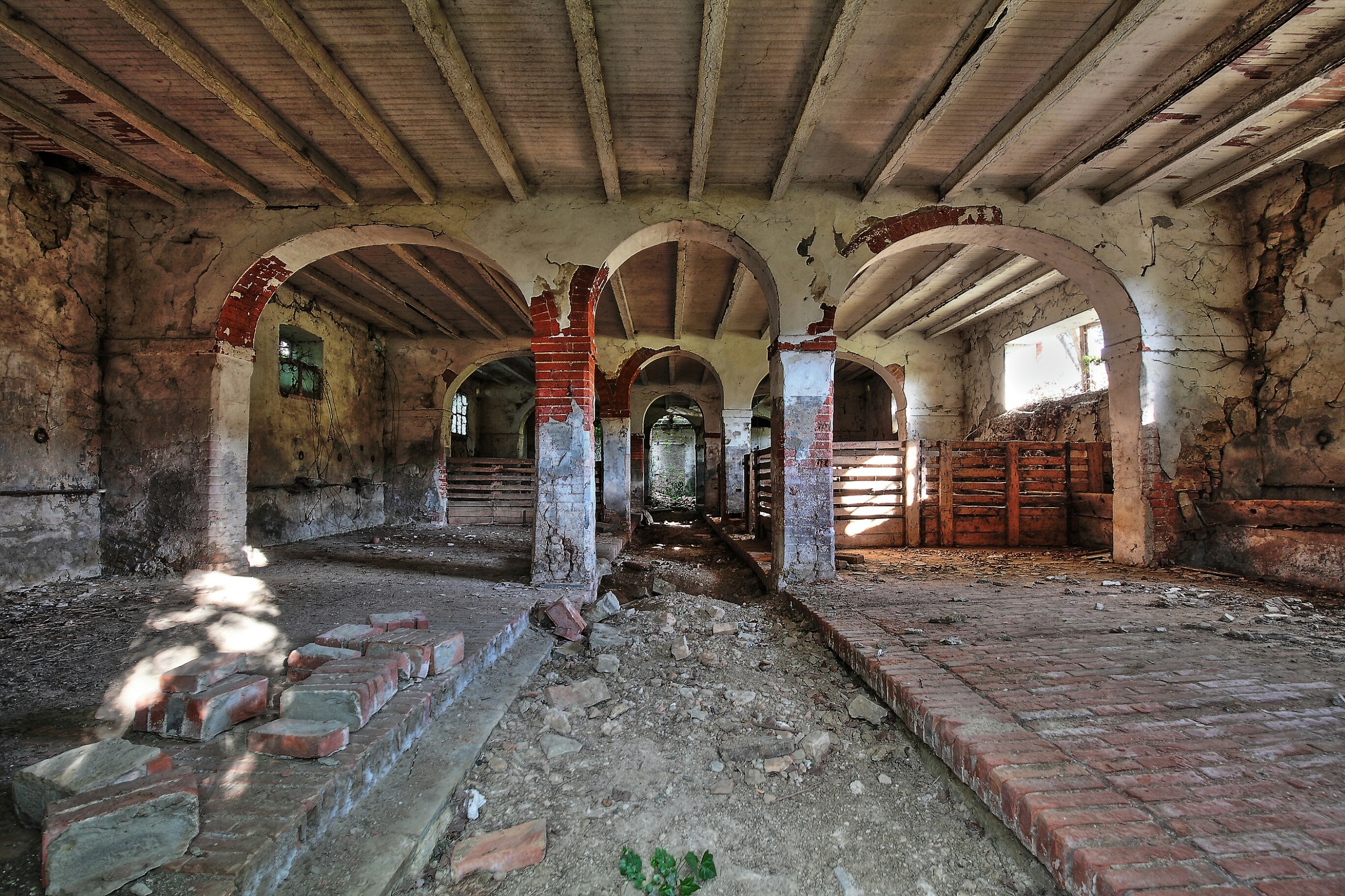 dalle stelle alle stalle abbandonate