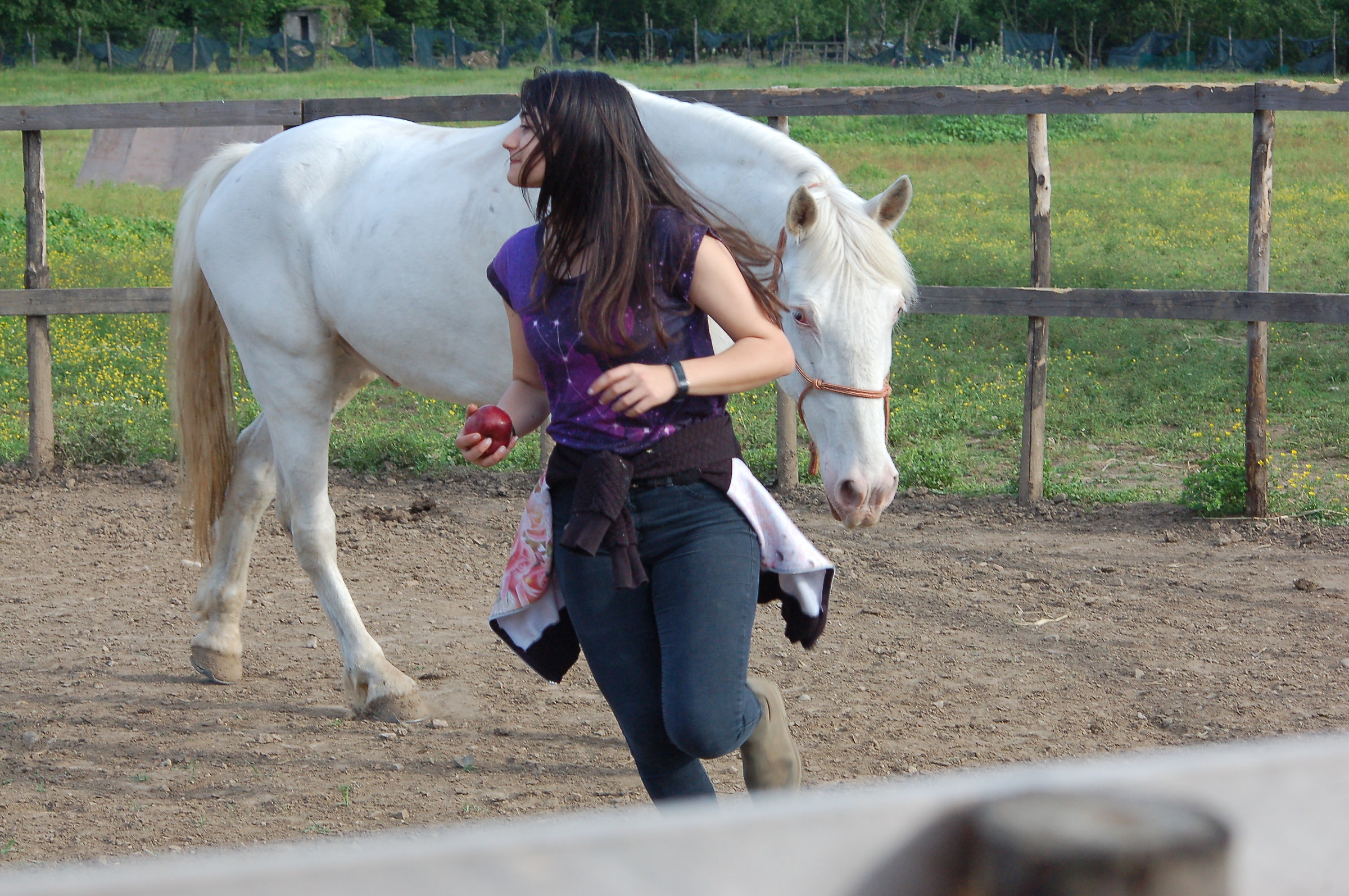 Giorgia and her steed