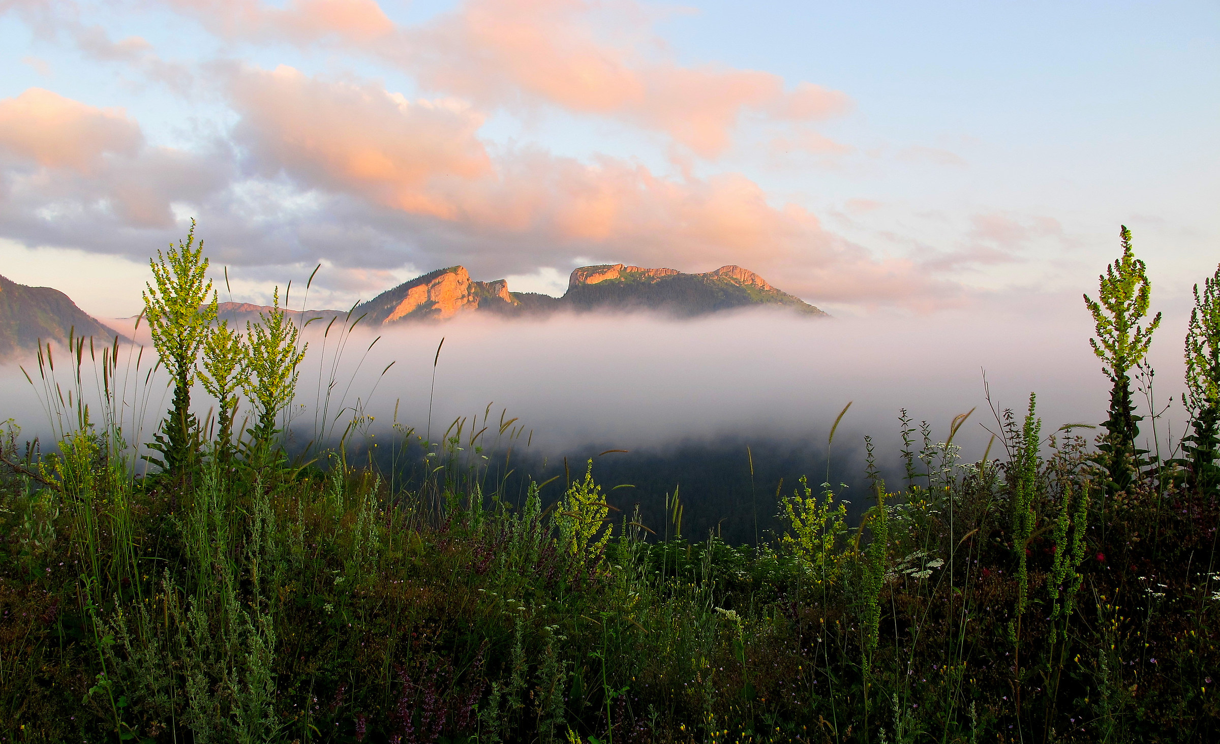 Oh, where is my 35mm camera..?