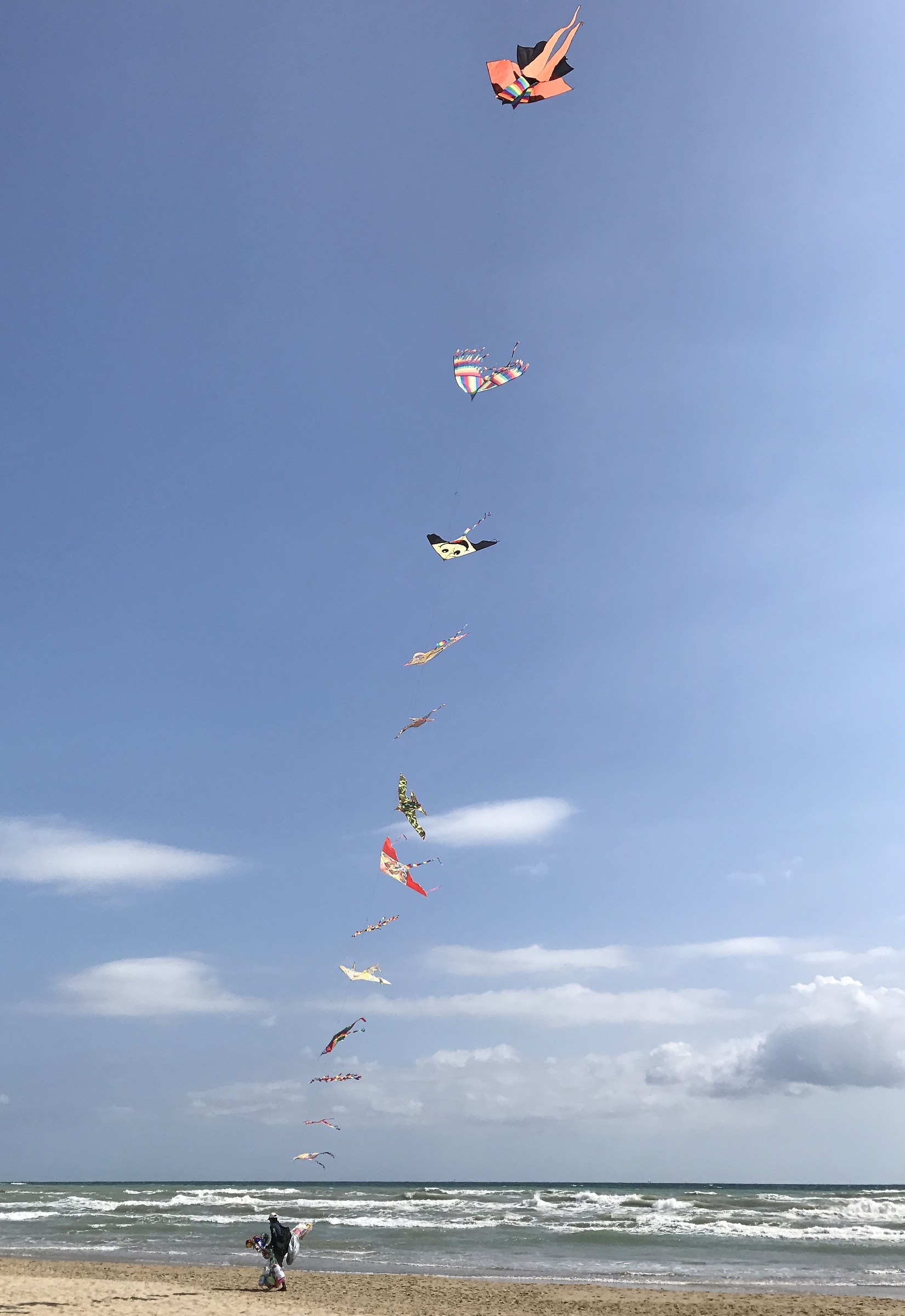 Fantasia aquilonare!