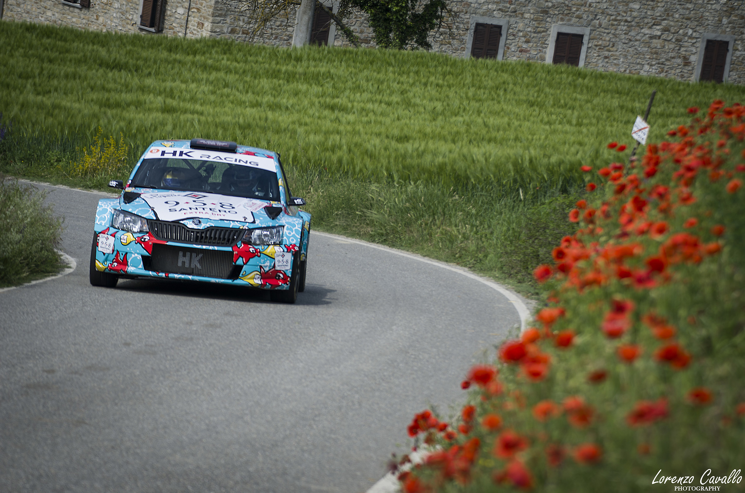 Rally & Poppies
