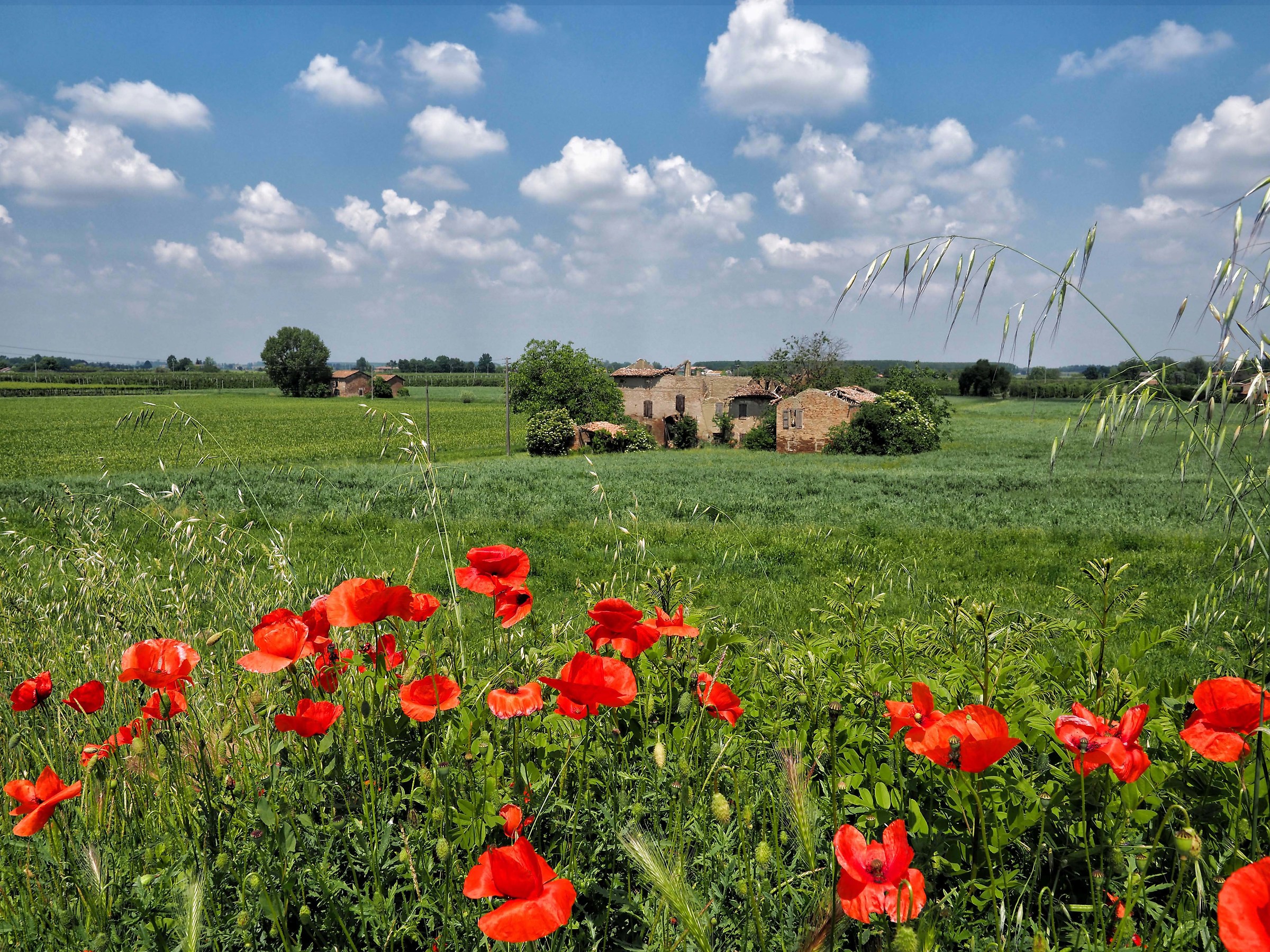 Landscape in Lunch break