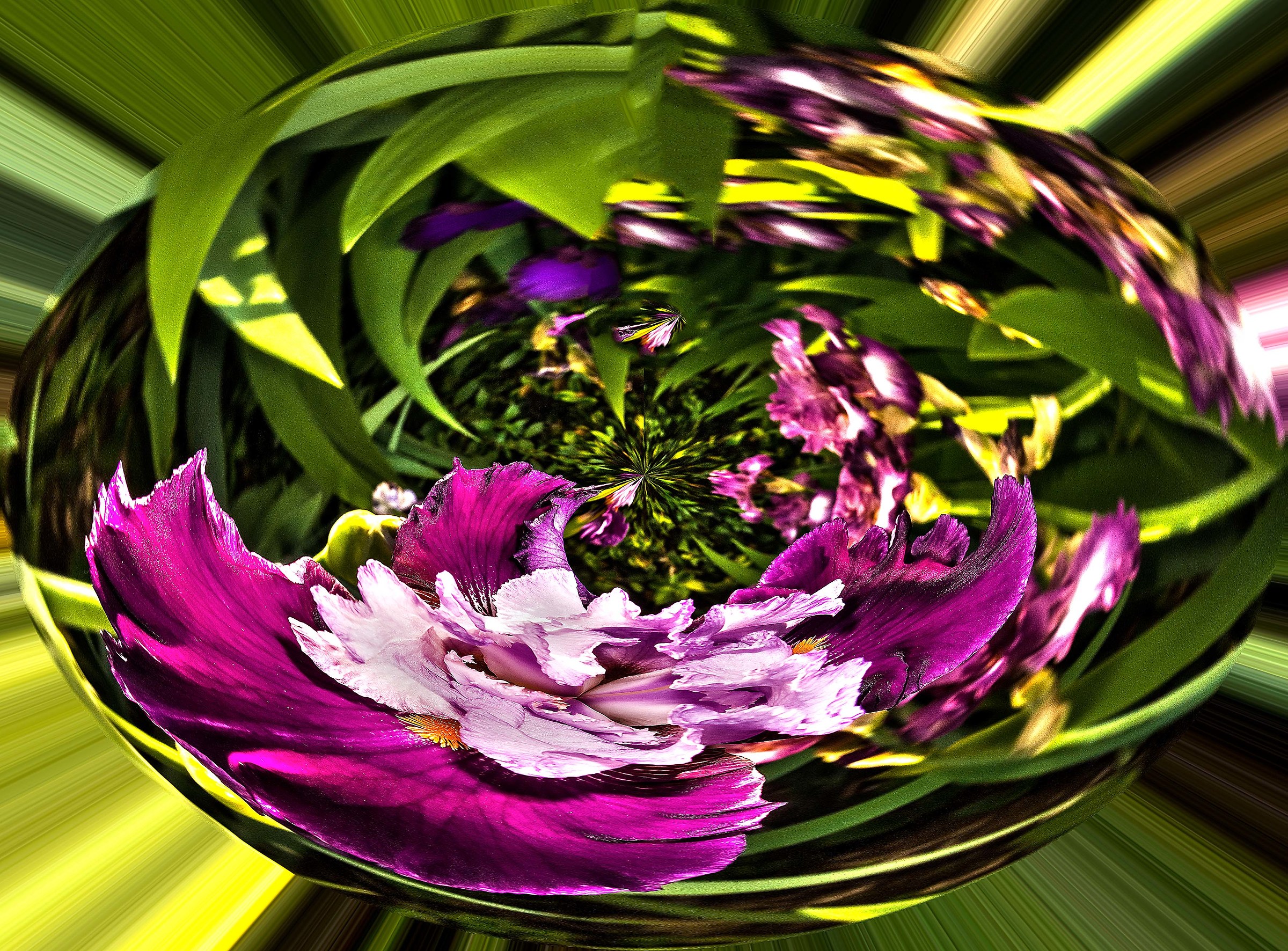 Flowers and Colors 1