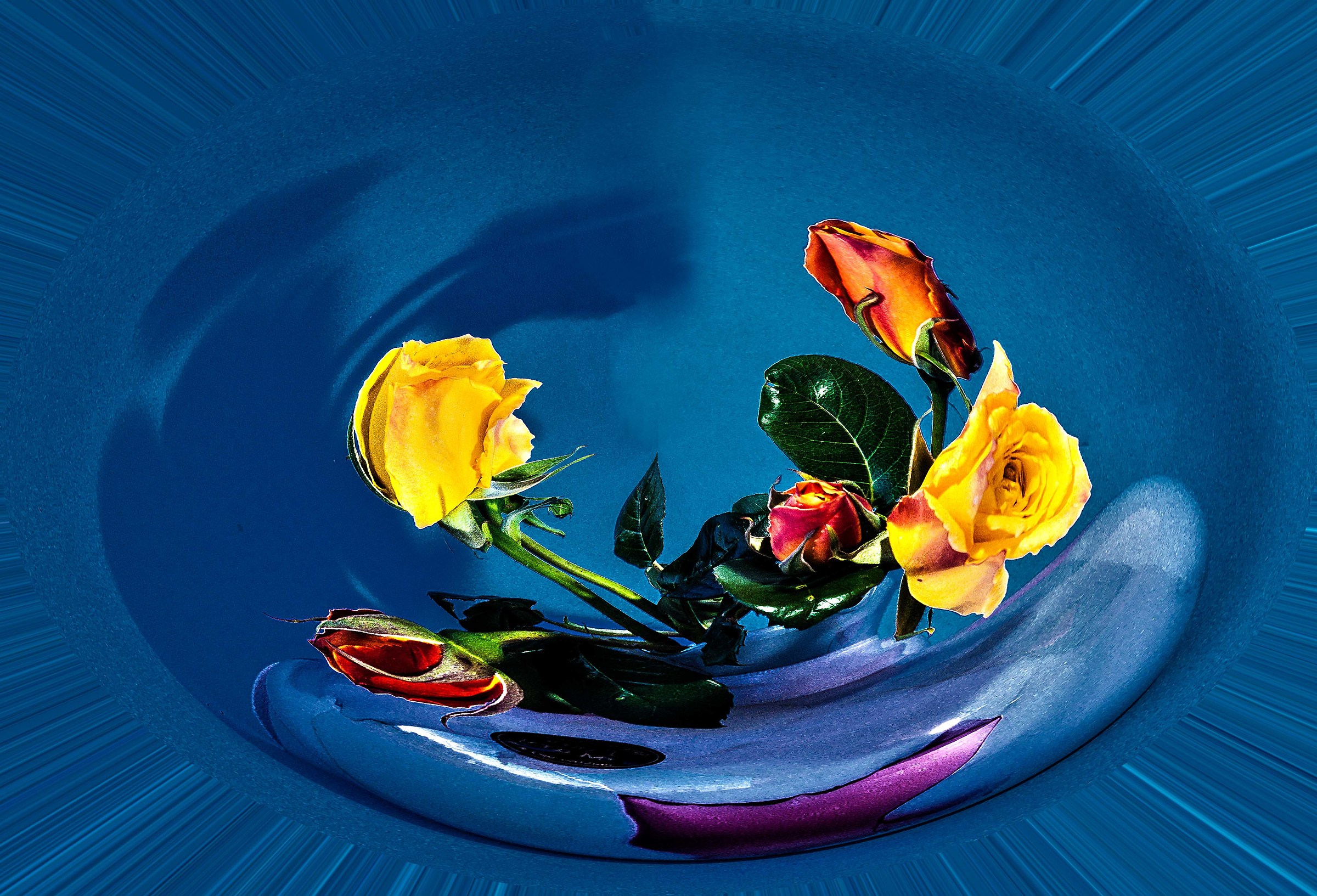 Flowers and Colors 3