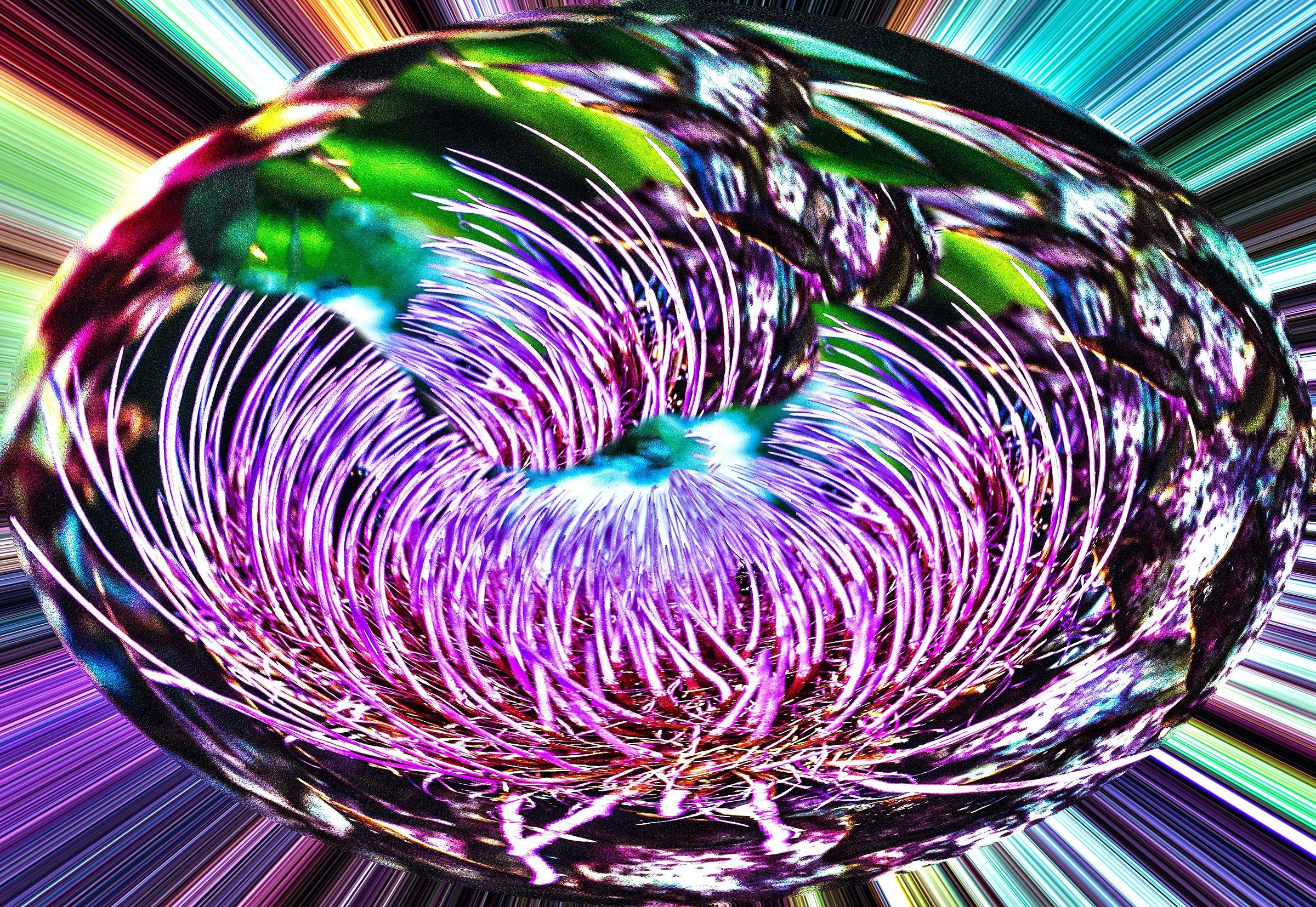 Flowers and Colors 4