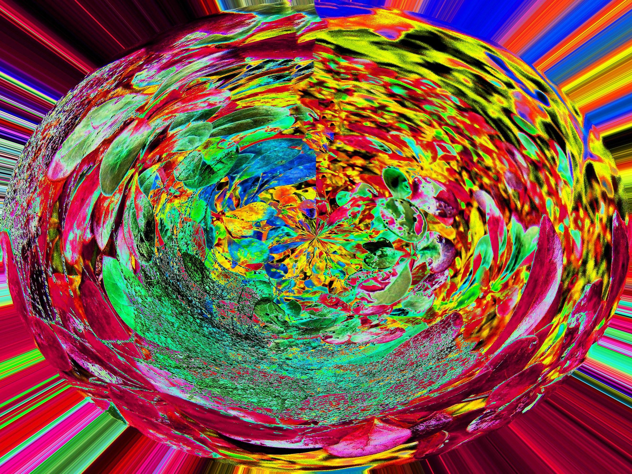 Flowers and Colors 6