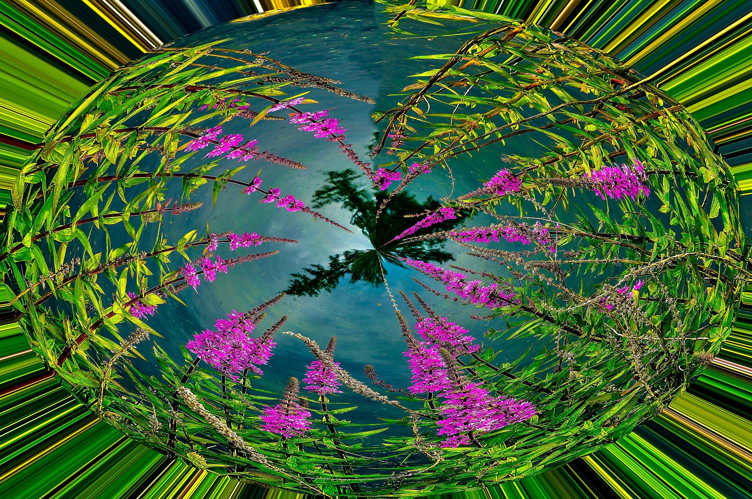 Flowers and Colors 11