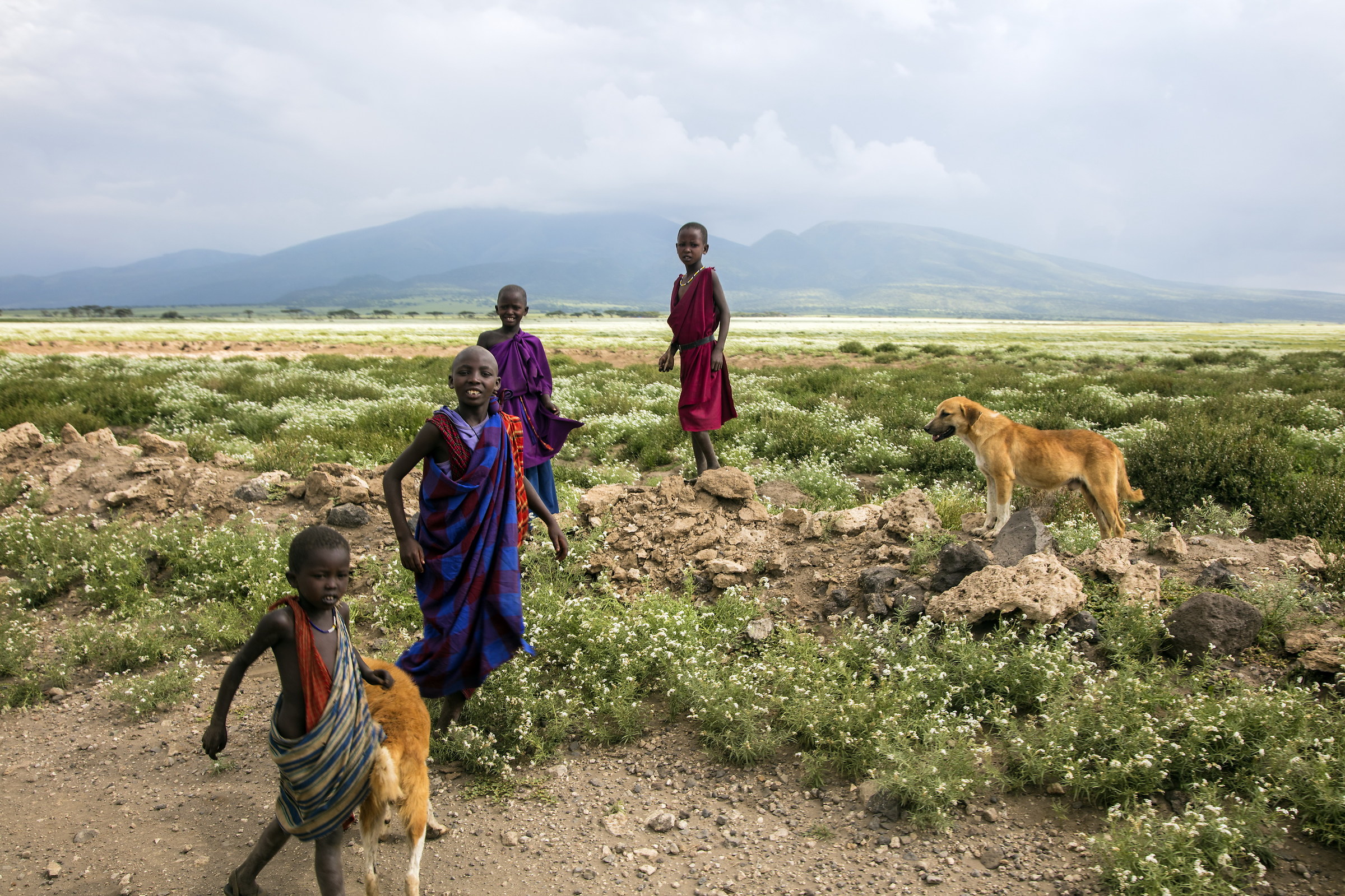 Masai kids on the way to serengeti