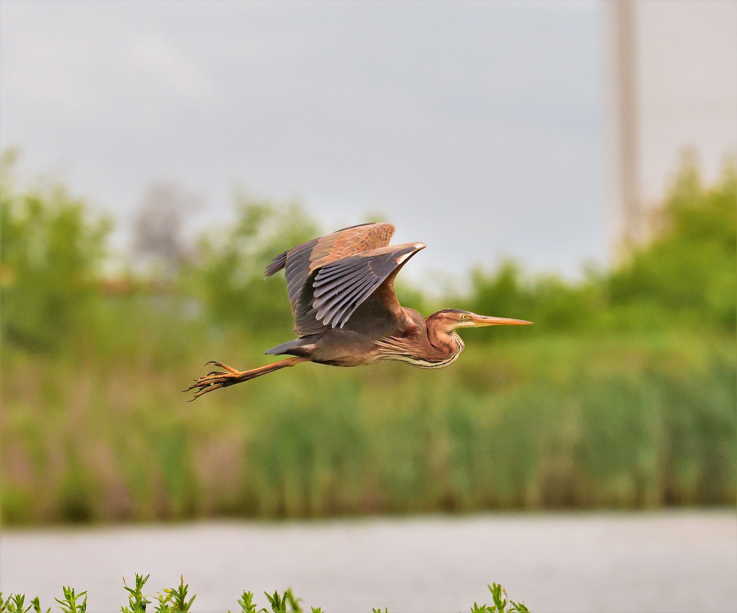 The first red of the season