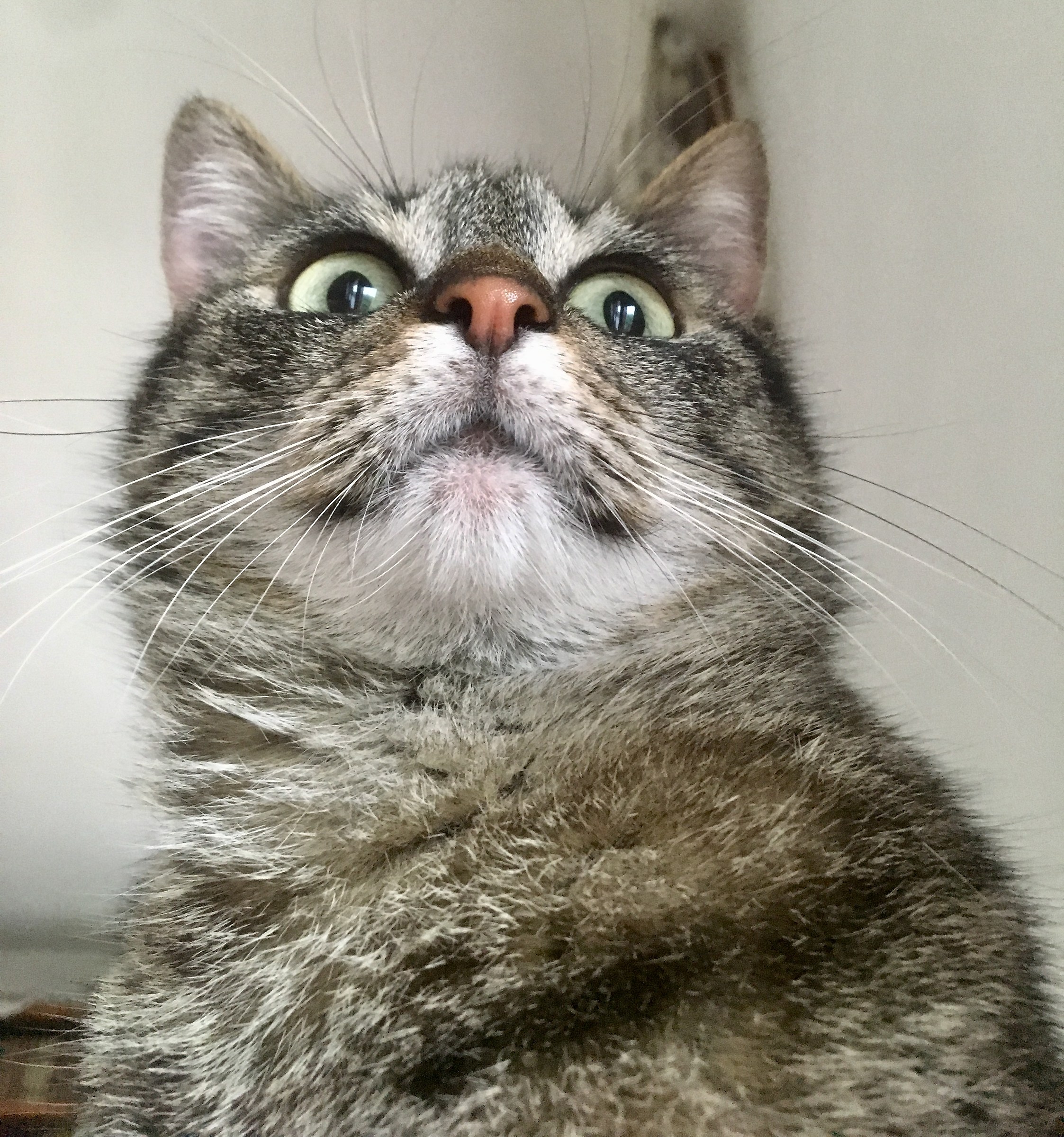 The Good morning you see from the morning