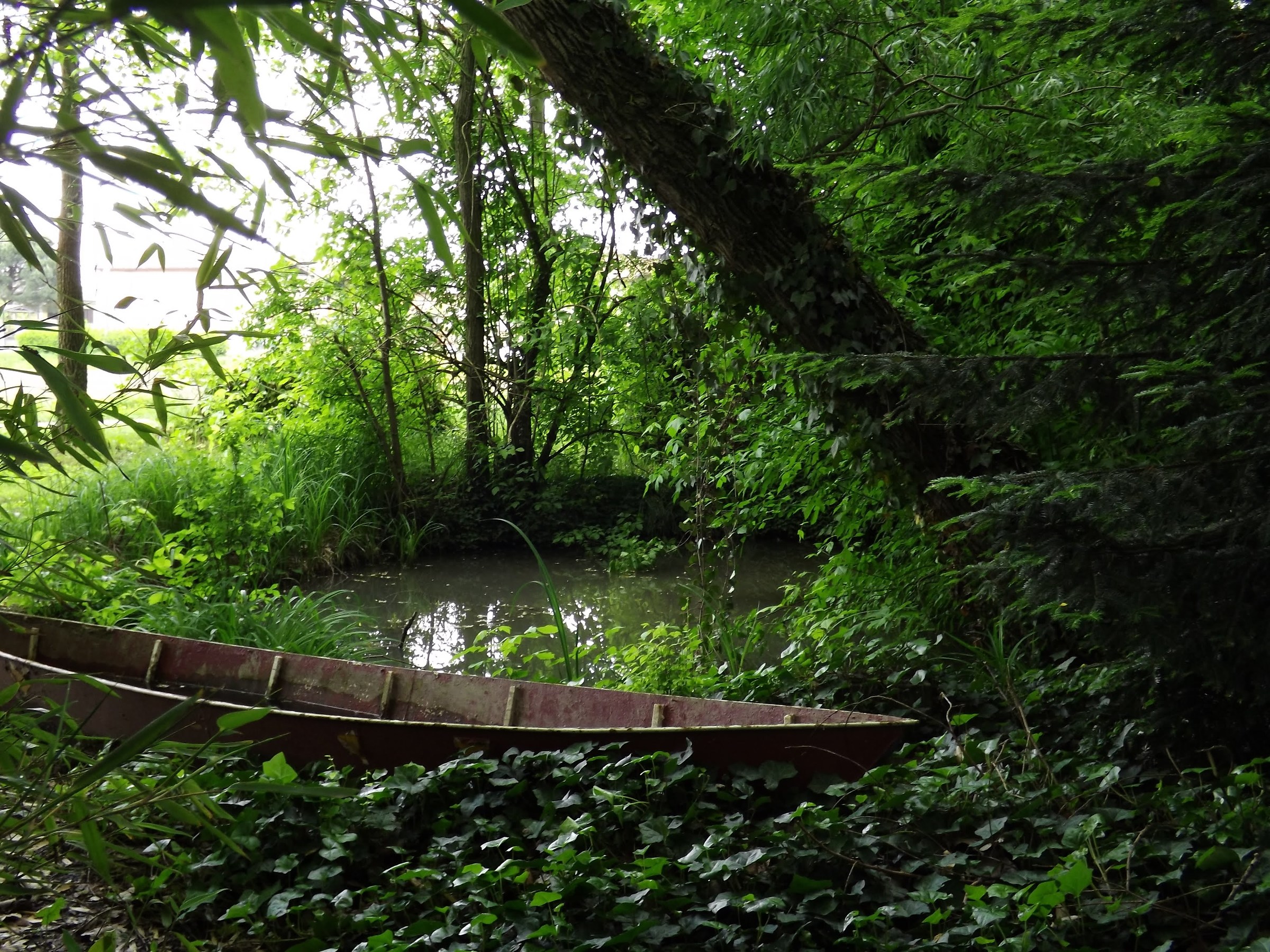 Forest Fauna Boat