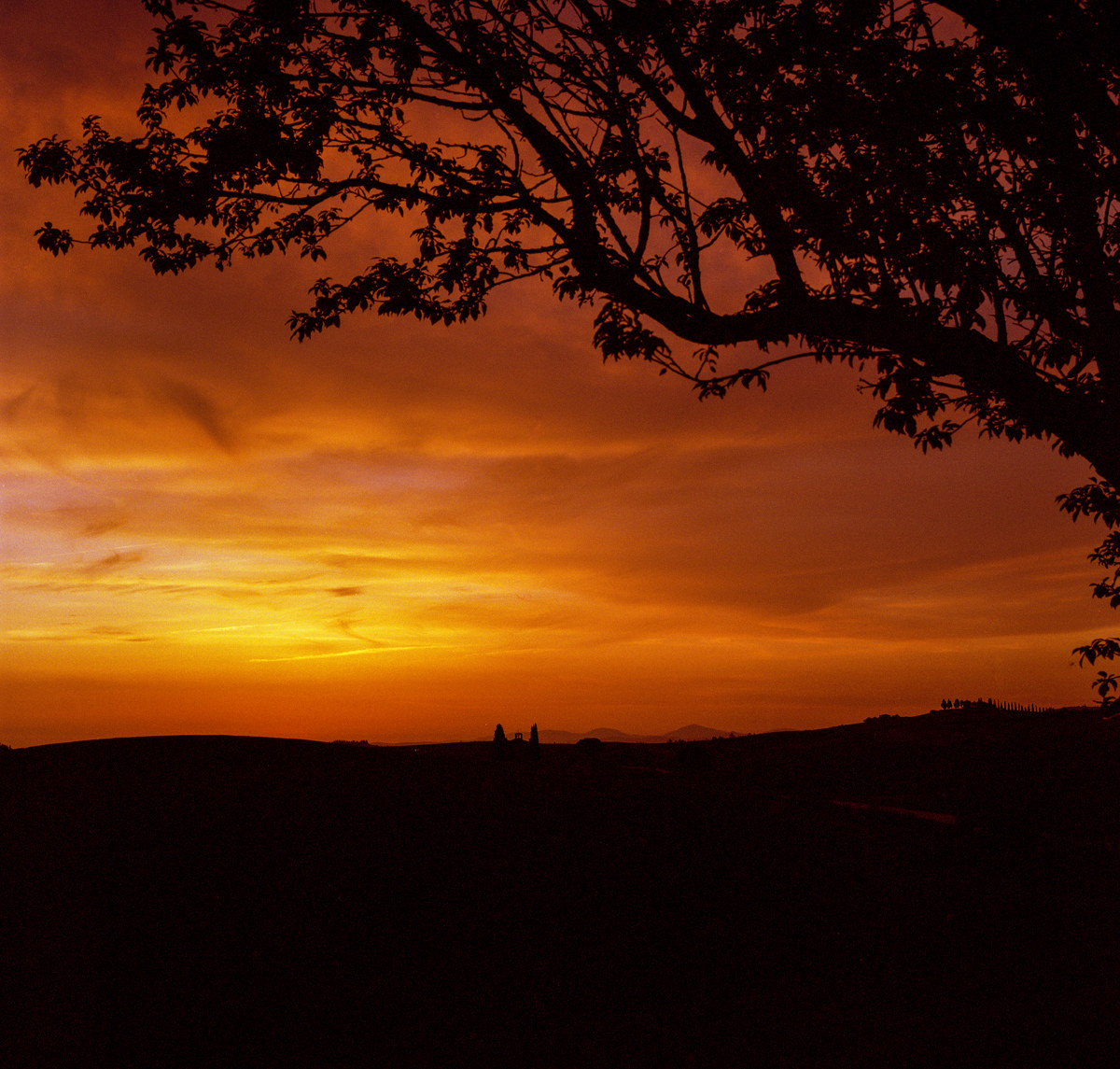 Val D'Orcia Tramonto - Vitaleta