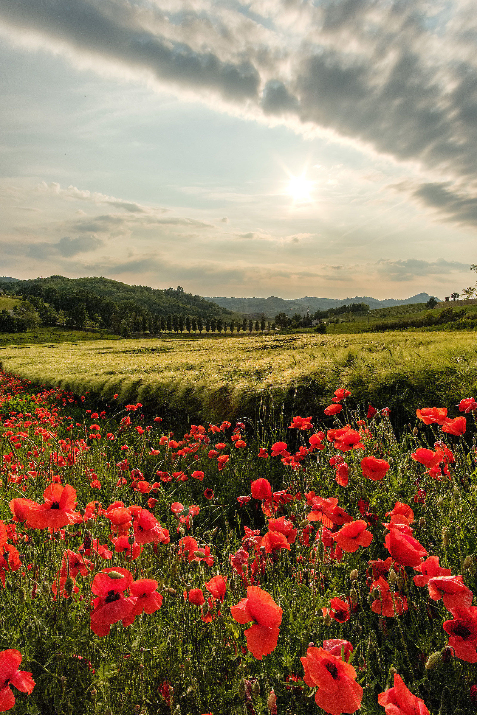 I colori del Monferrato.
