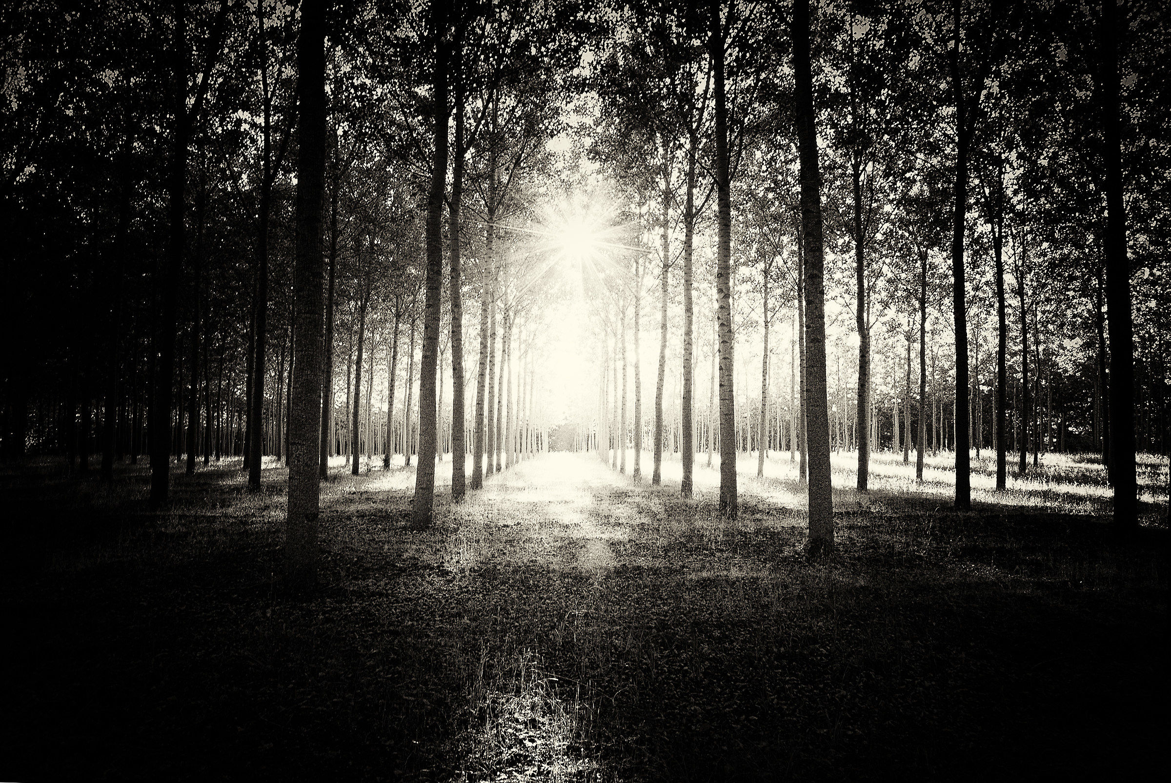 The Door. The door of the afterlife.