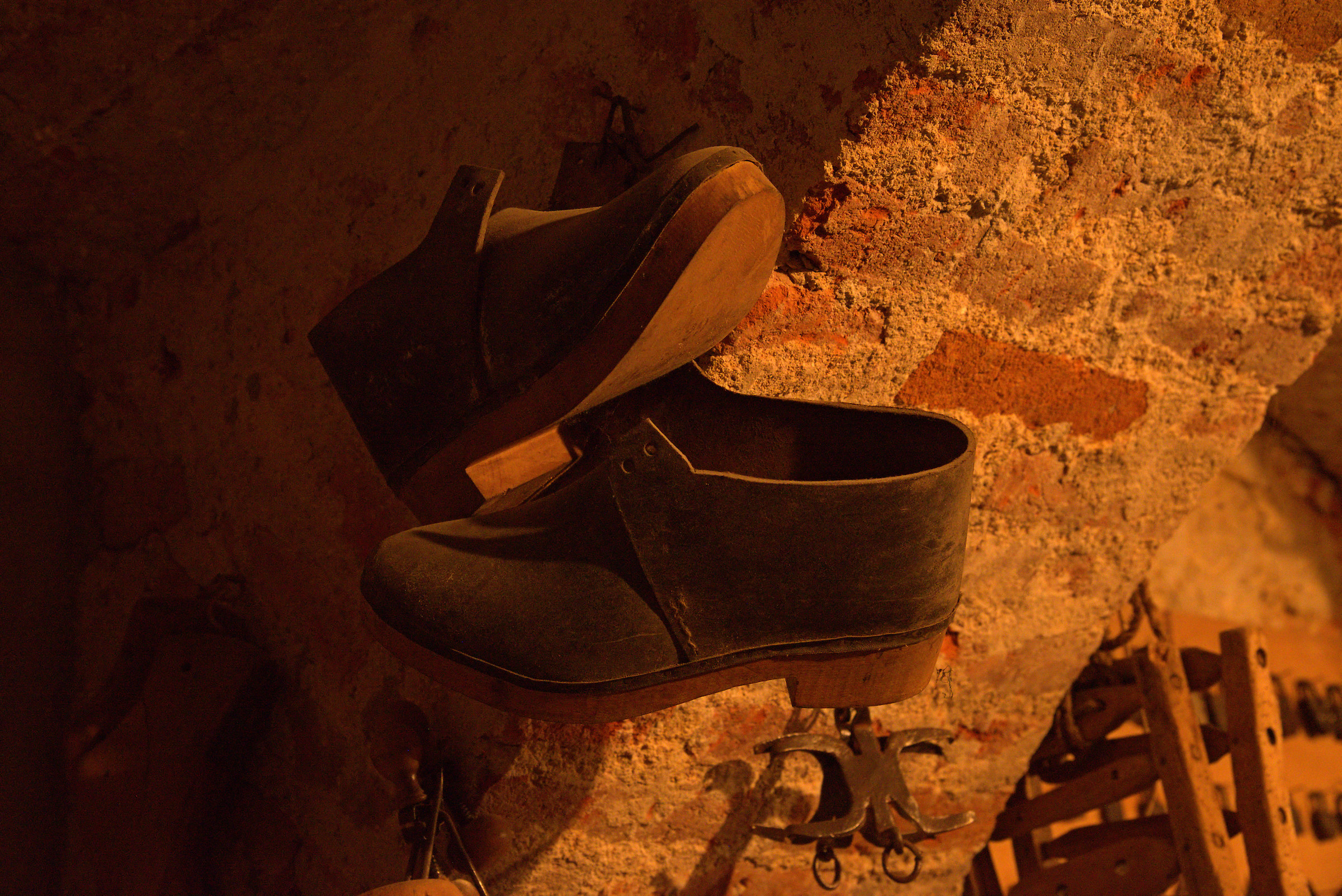 L know that (the hooves)