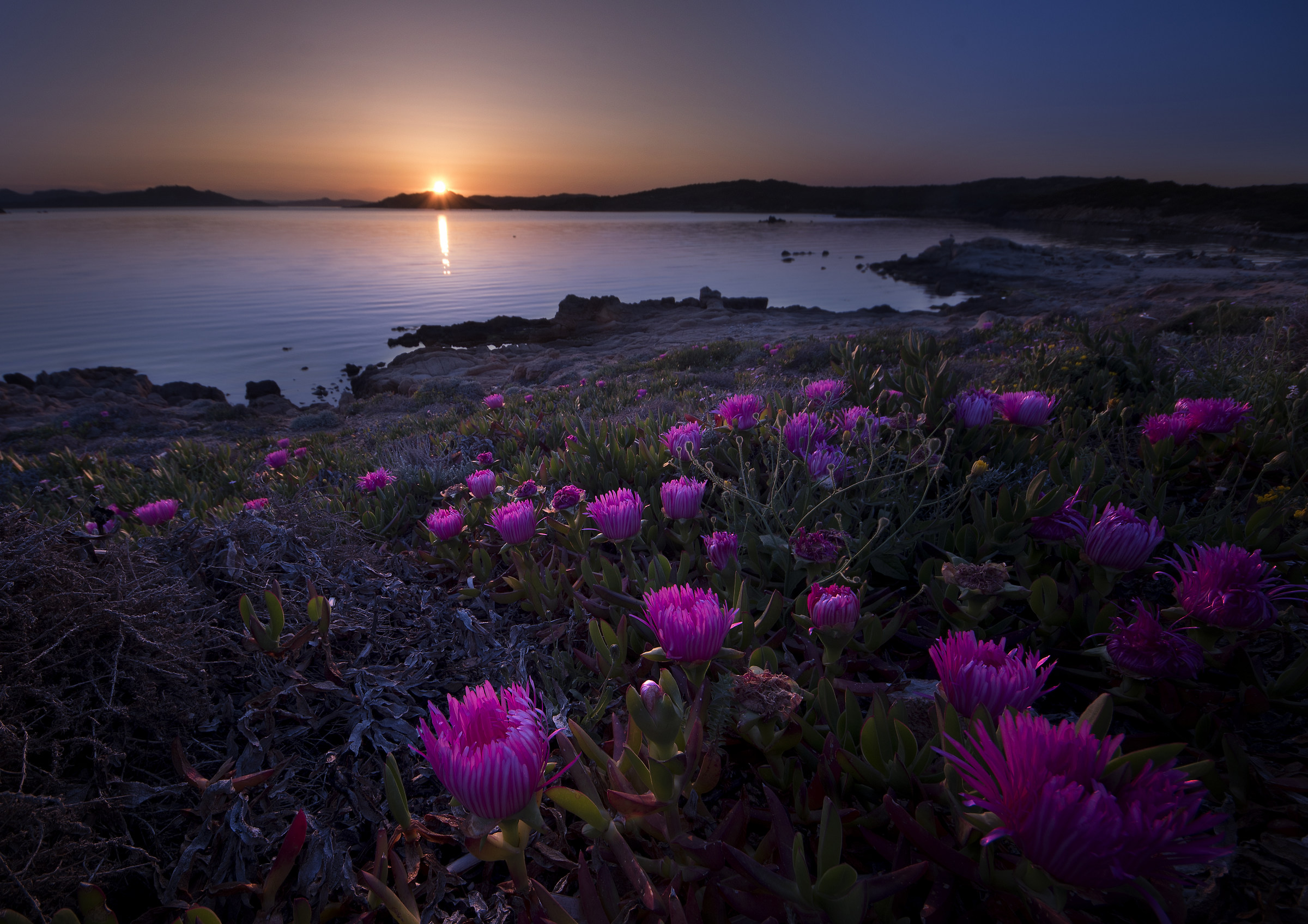 Tramonto sulla Maddalena