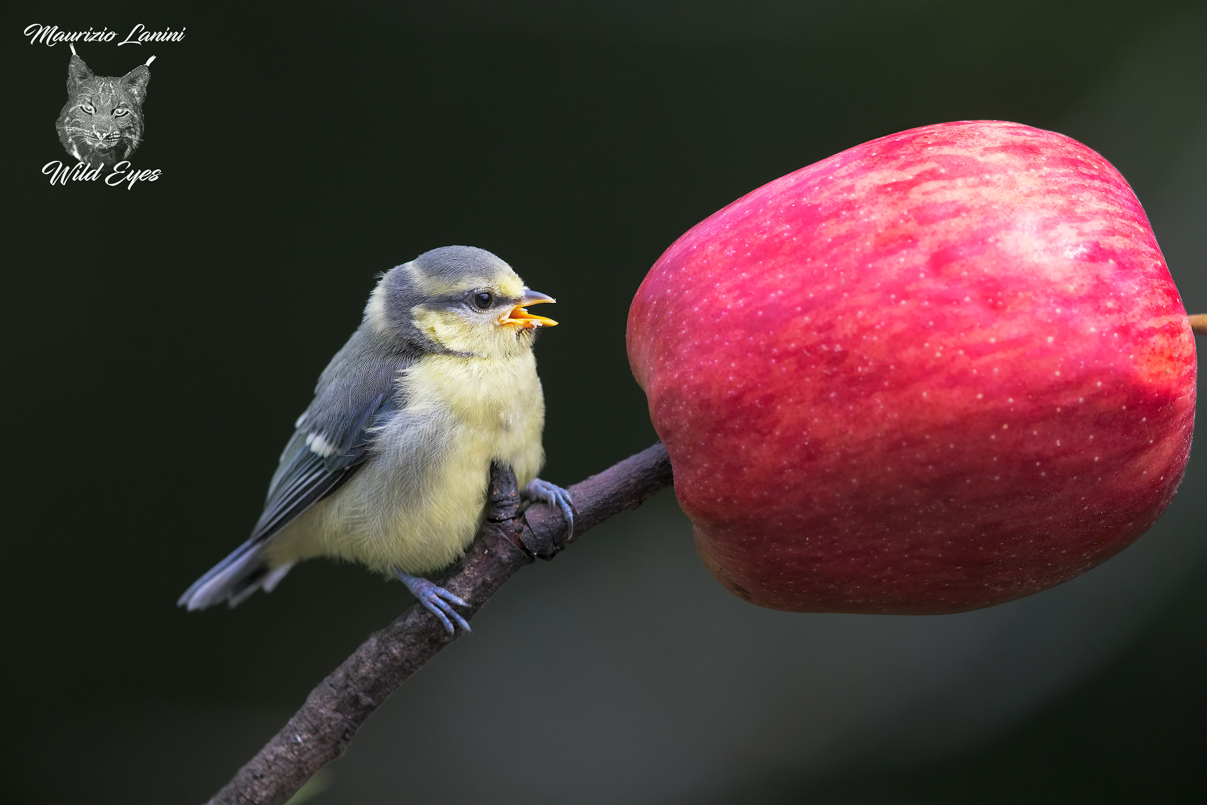 I'm still calling Mom