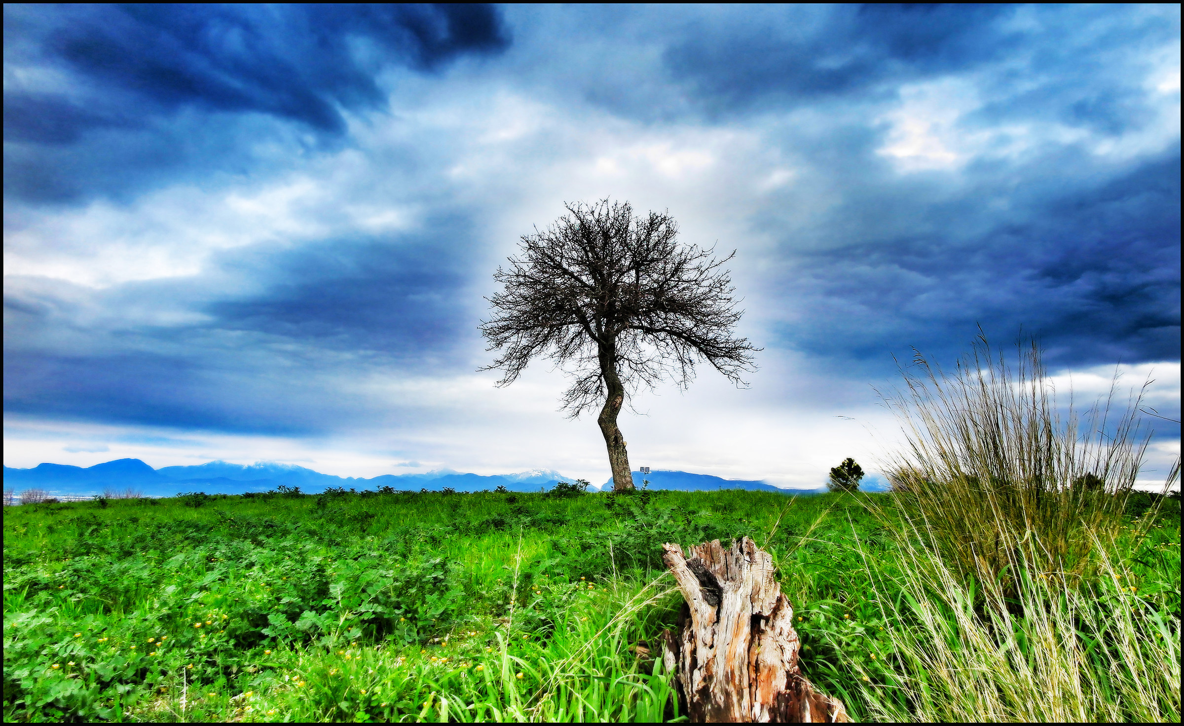 Harrier... Salerno...