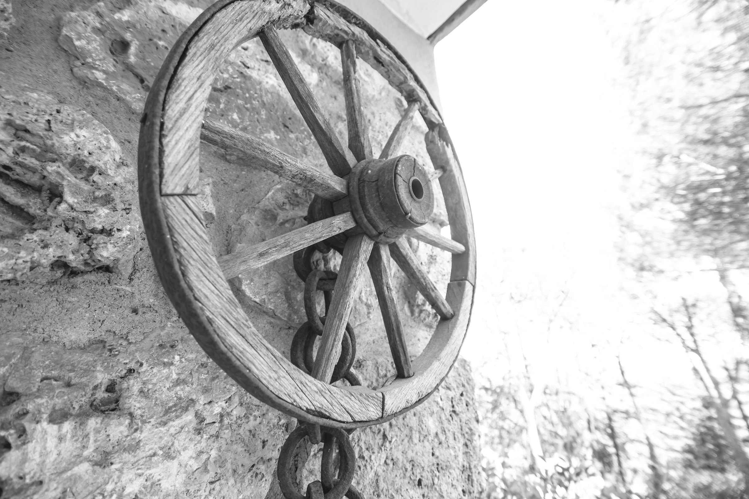 Wheel