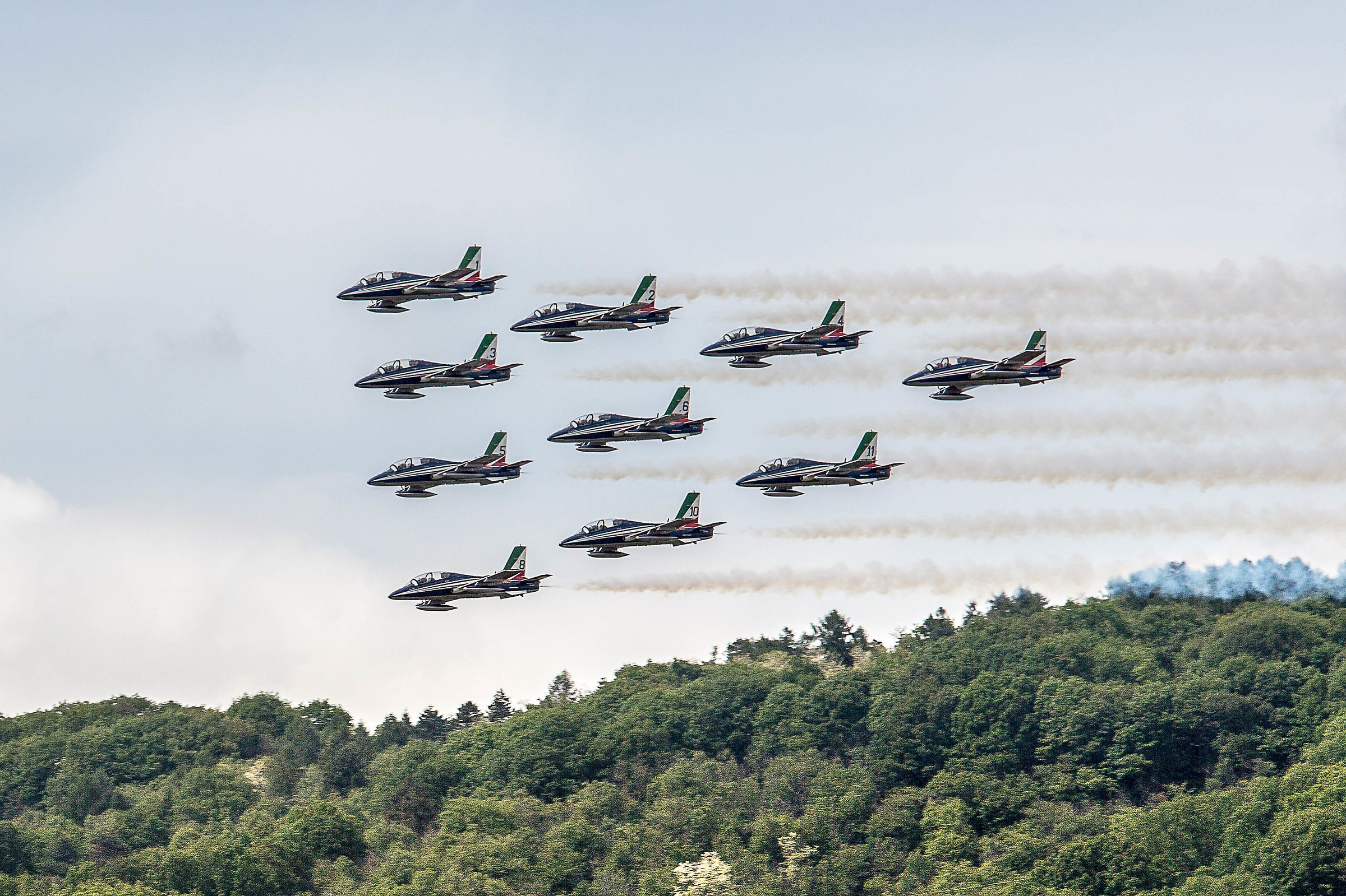 Acrobatic patrol Arrows tricolor