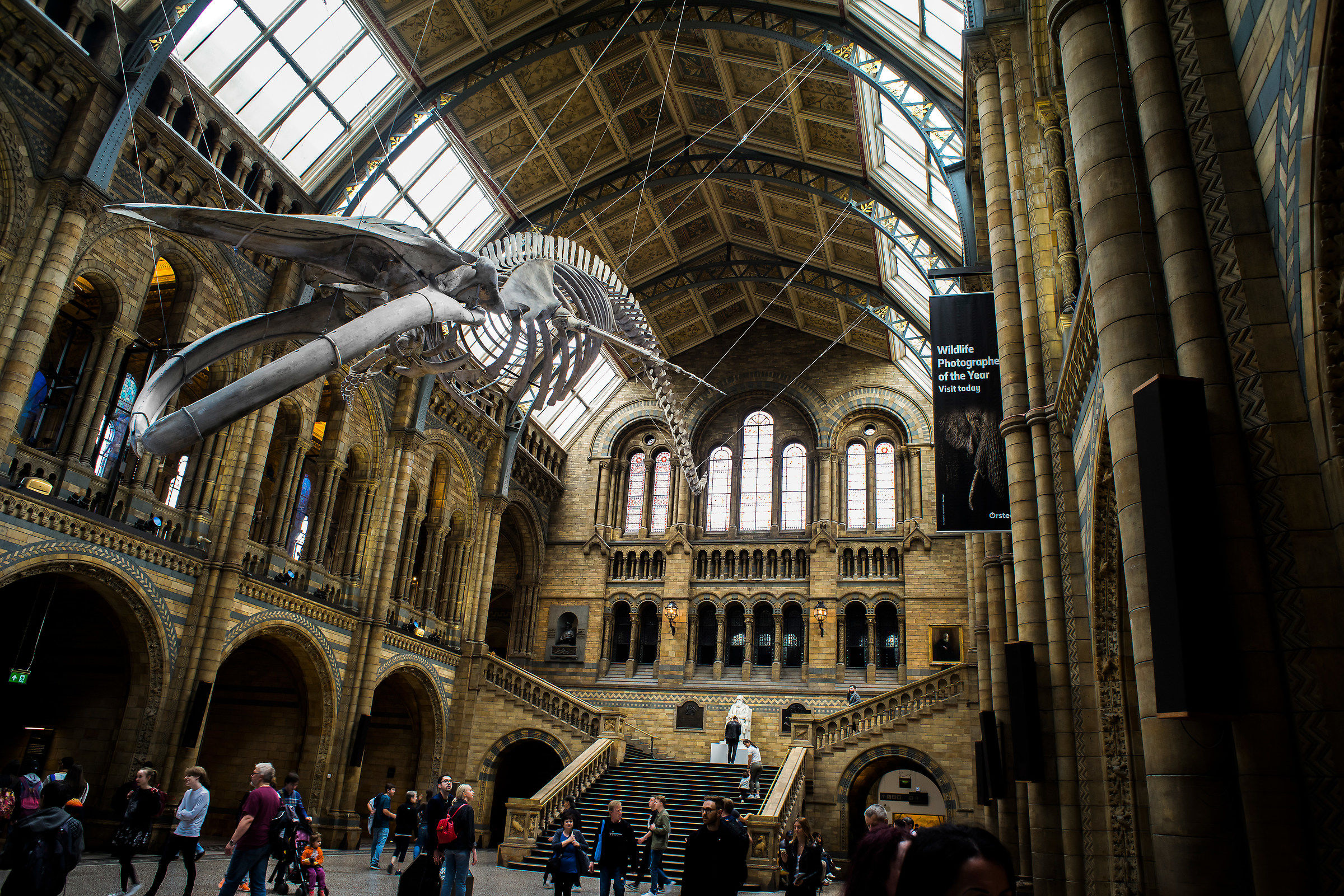 Natural History Museum