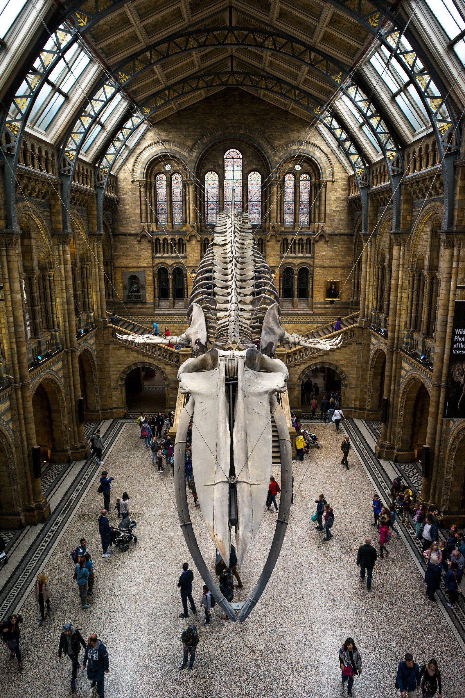 Natural History Museum