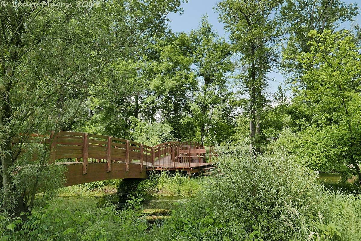 Ponte nel verde