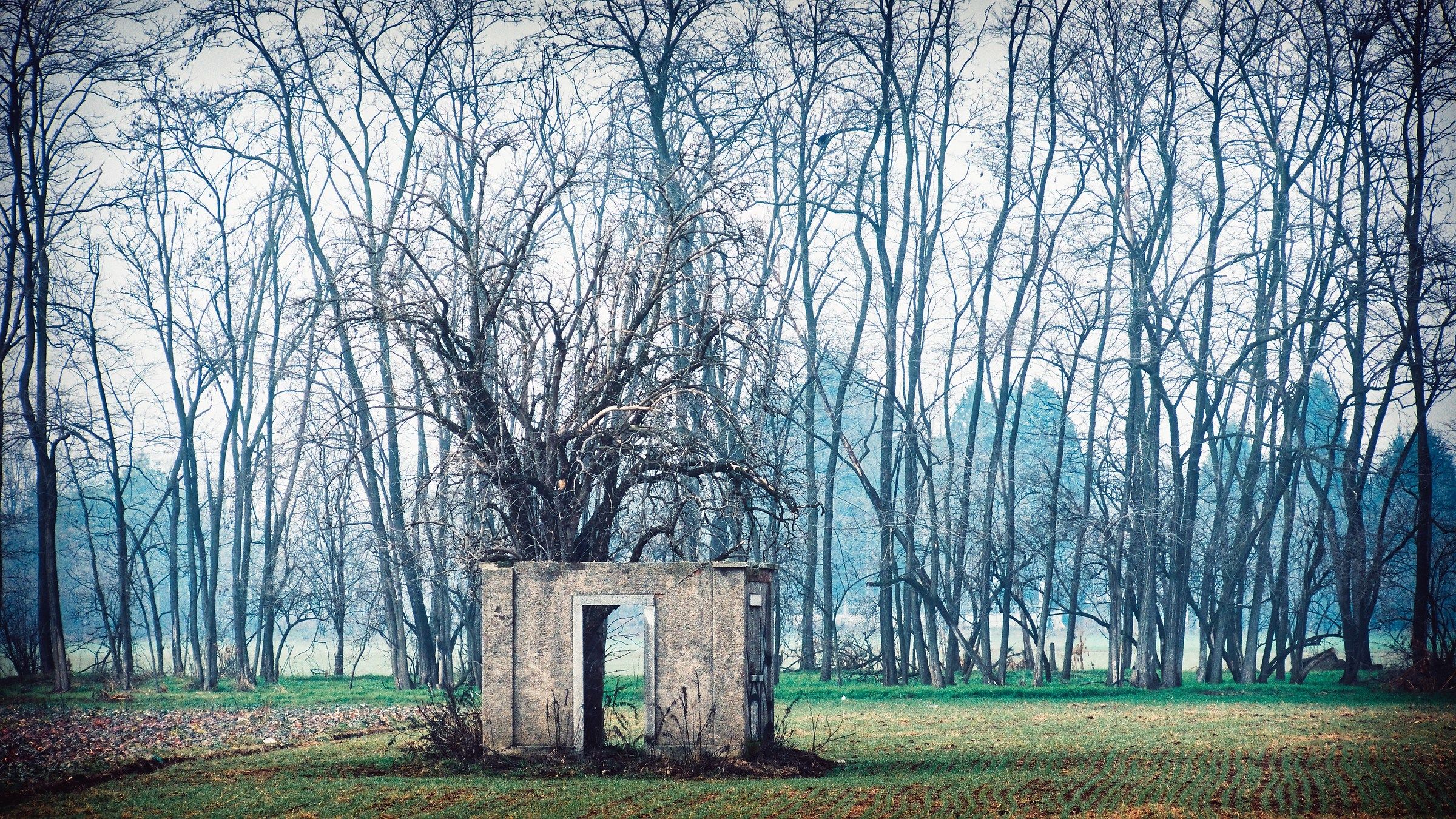 LEGNANO-I dreamed of a small house...