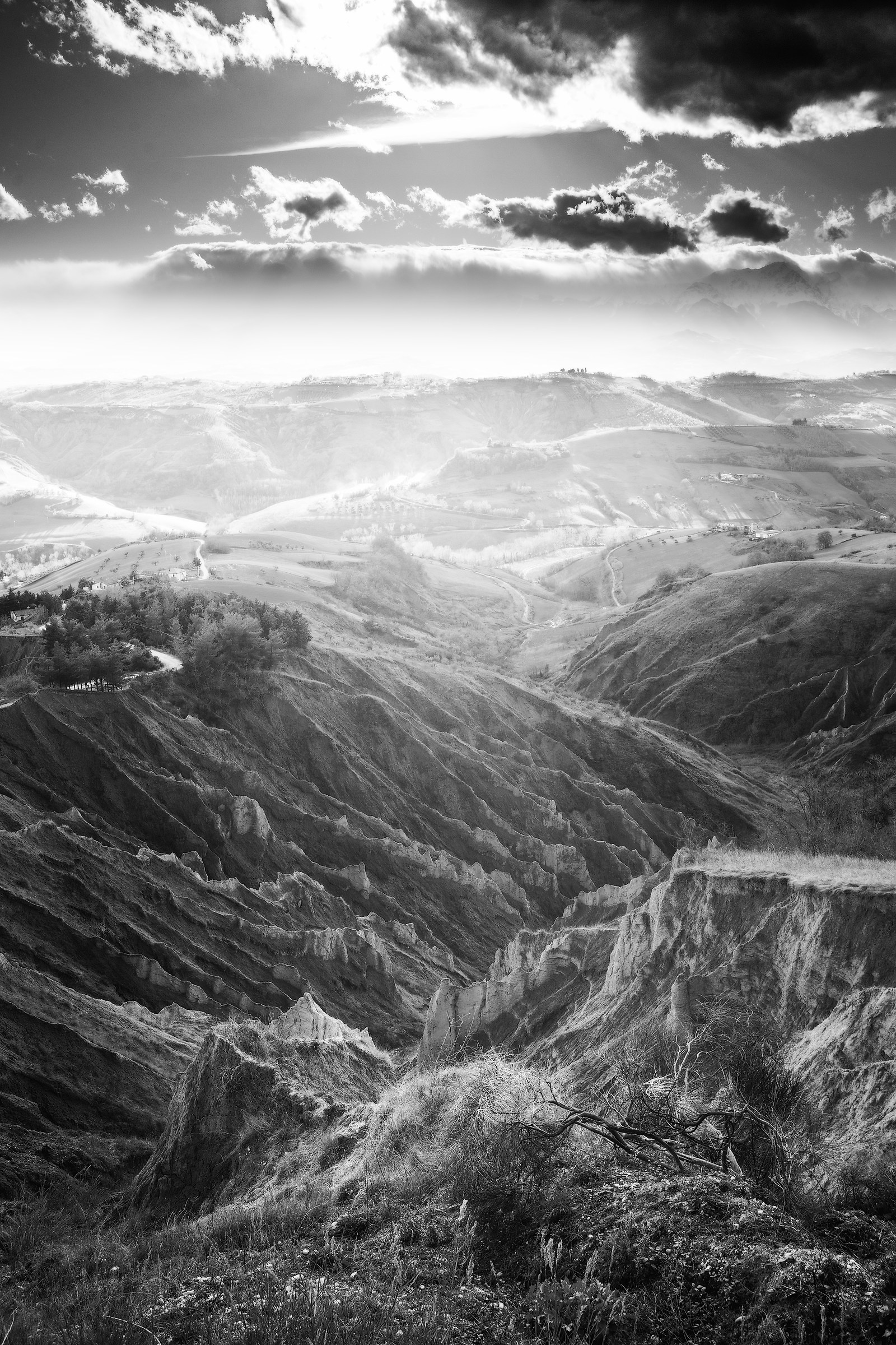 I come from the moon