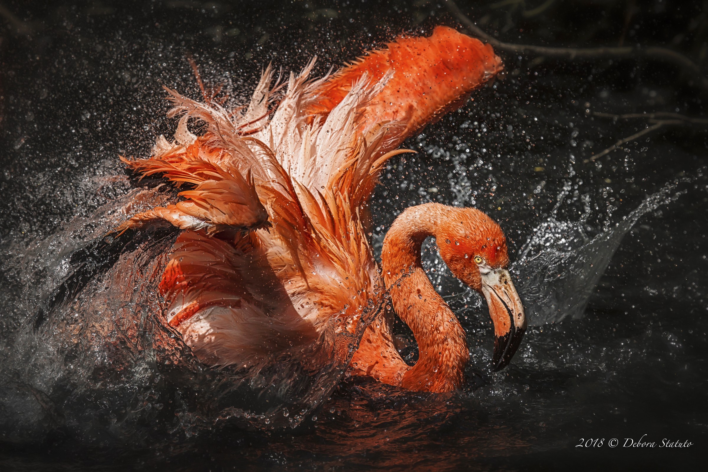 Splashing and splashing