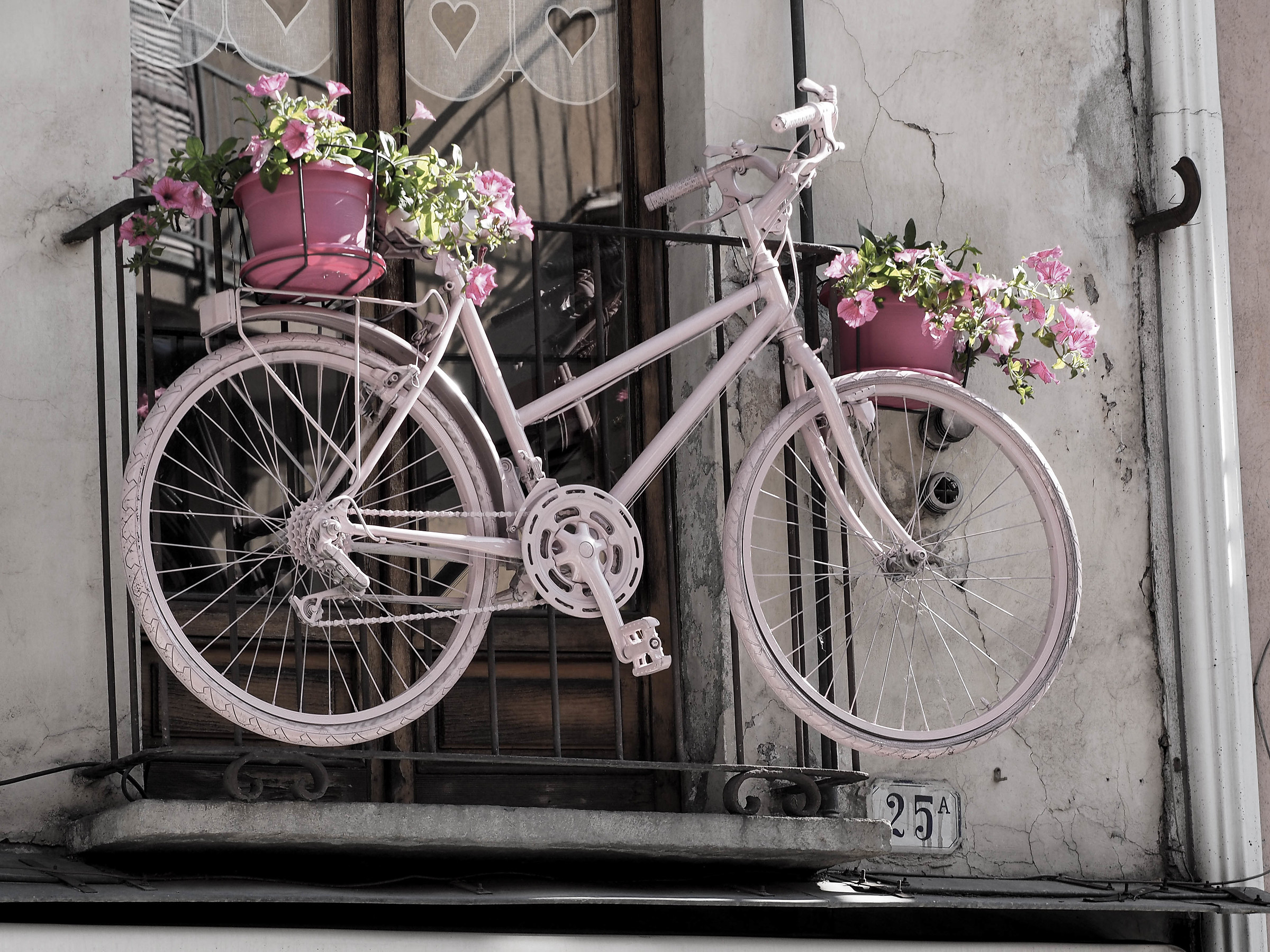 Everything is painted pink