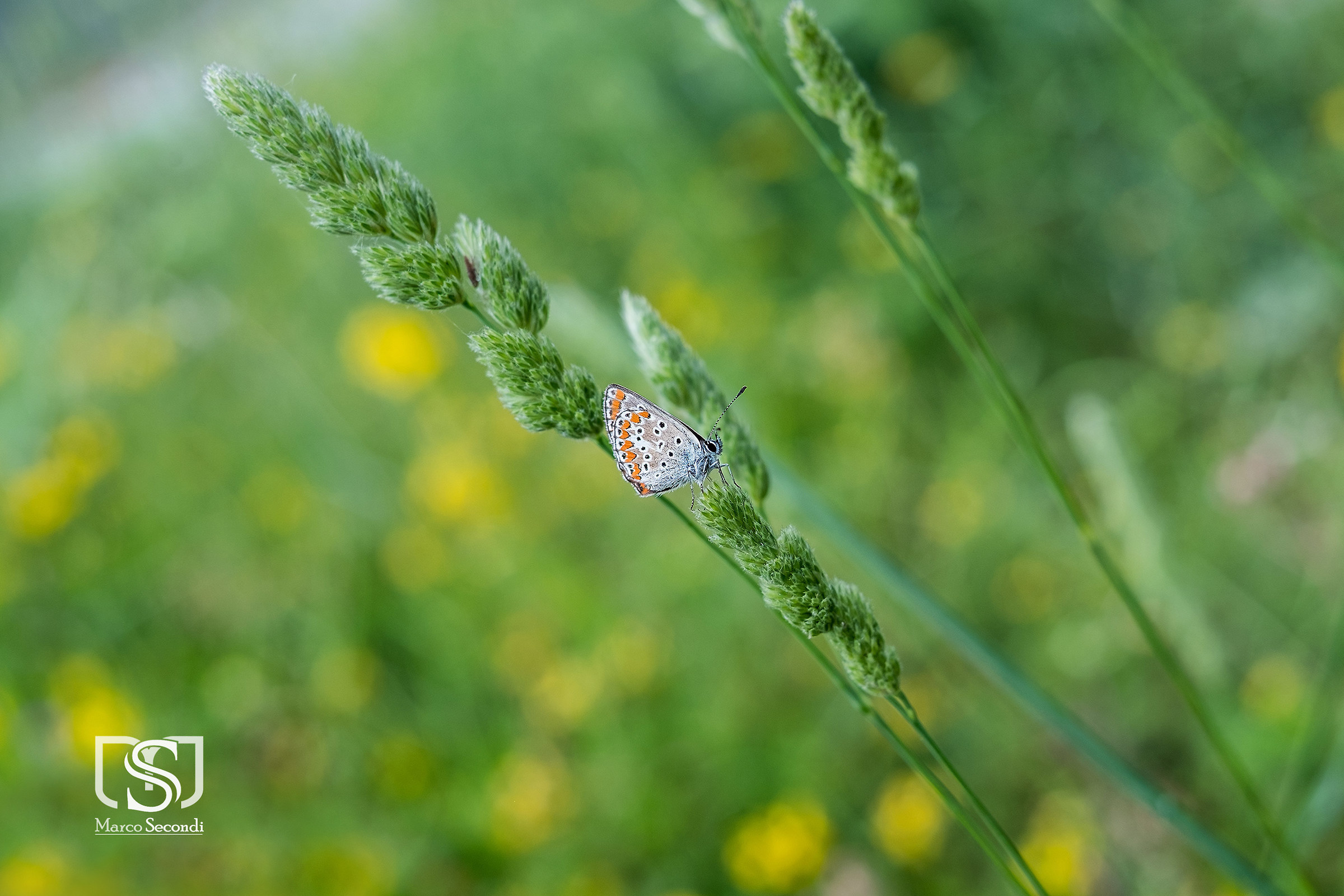 prove con il fuji 35mm f1.4