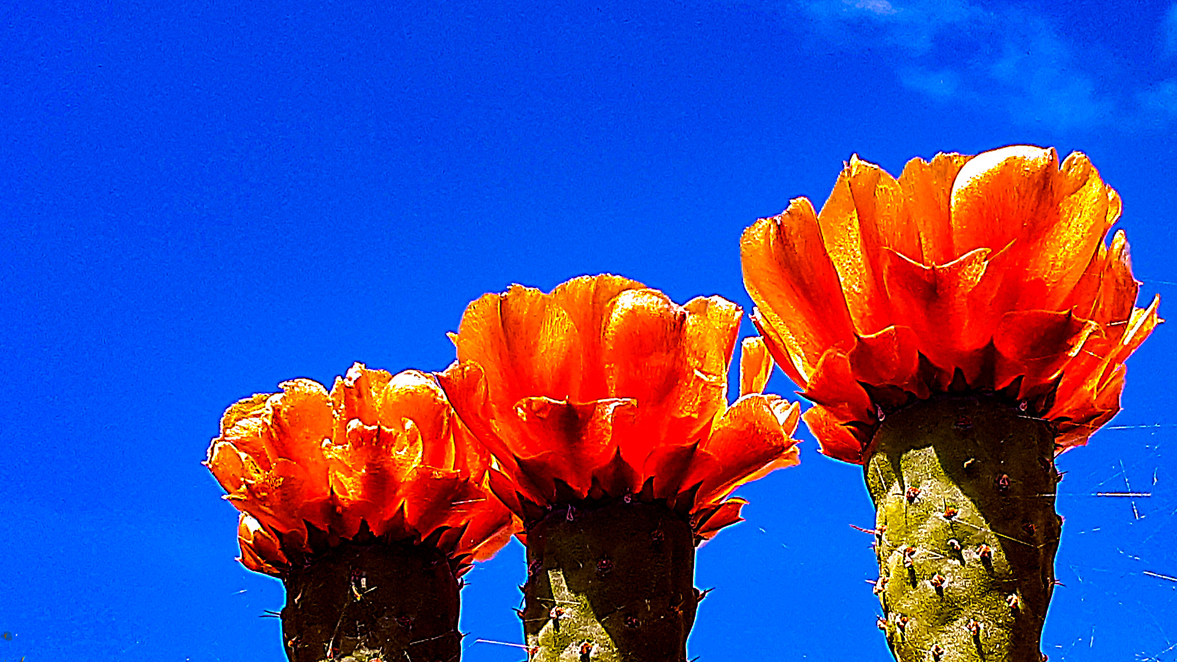 Dritti verso il celo