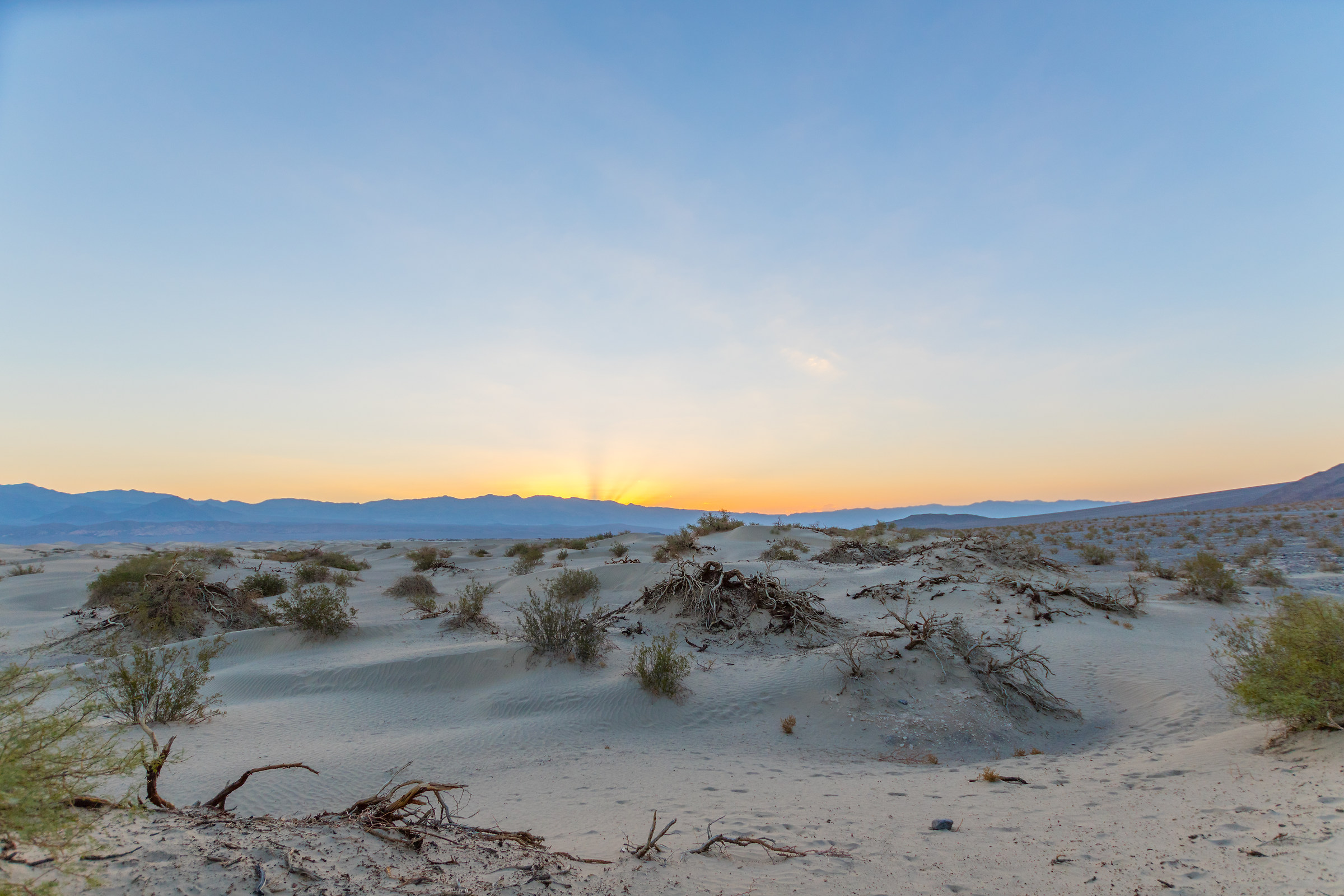 Death Valley - Mesquite Sands