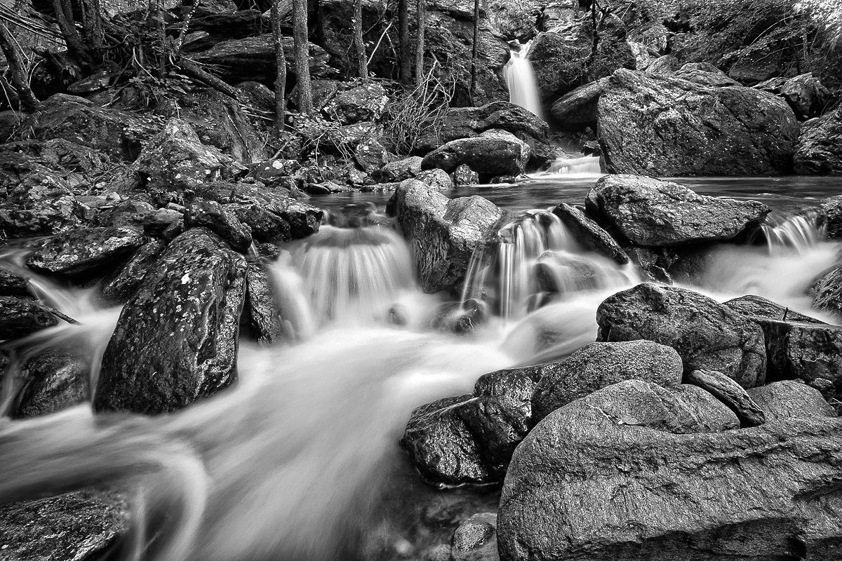 Landscape in Black & White