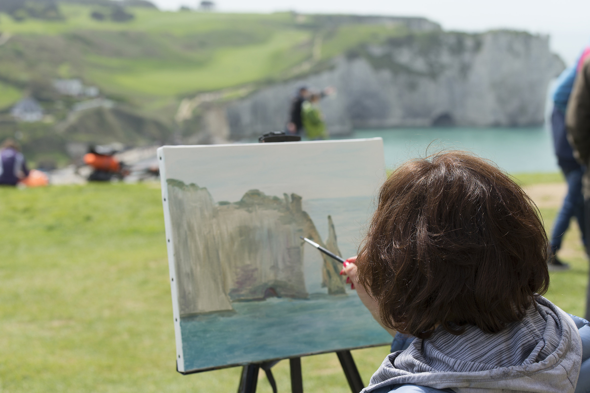 Garnde sensor format