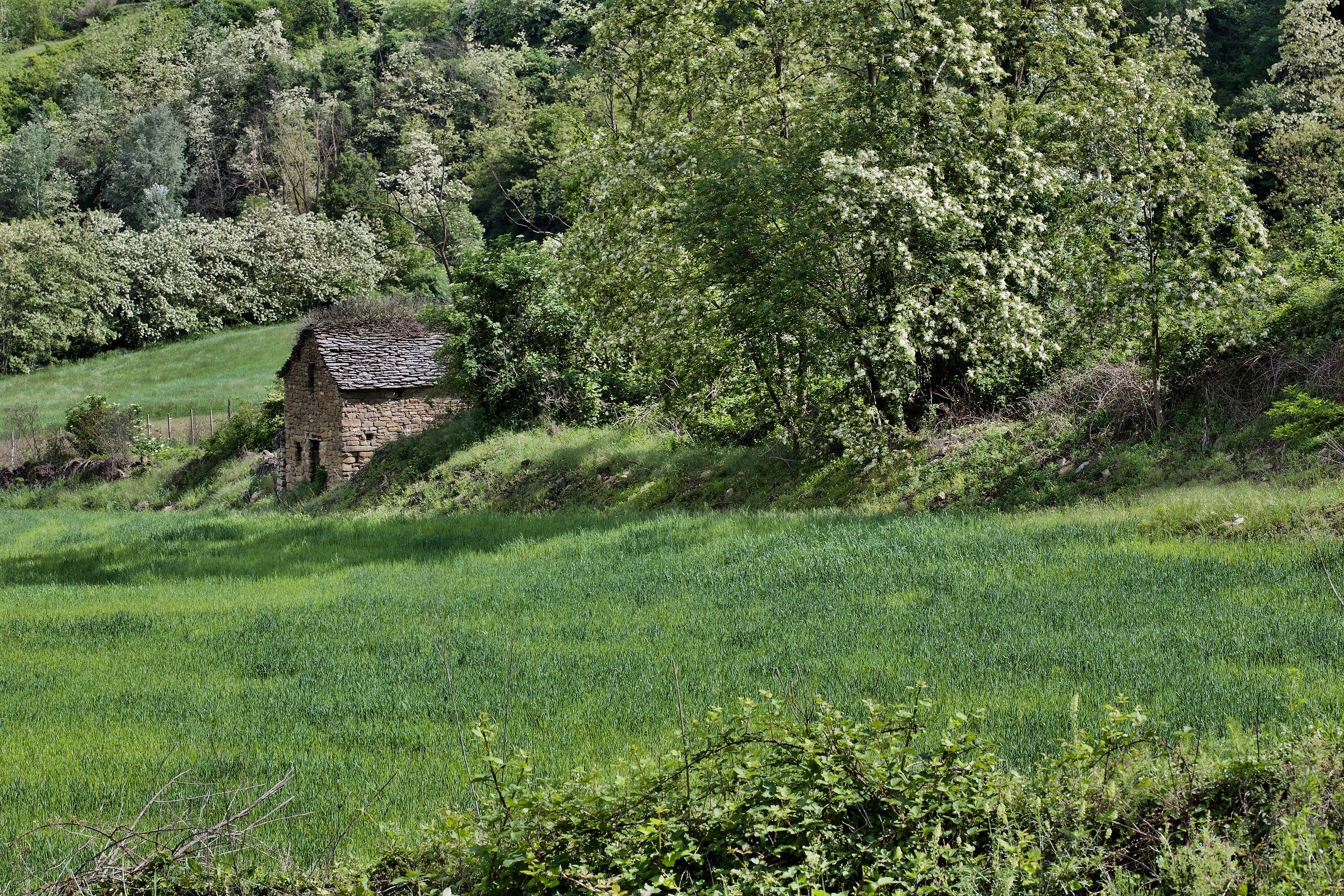 Ciabòt alle Violette (Levice)