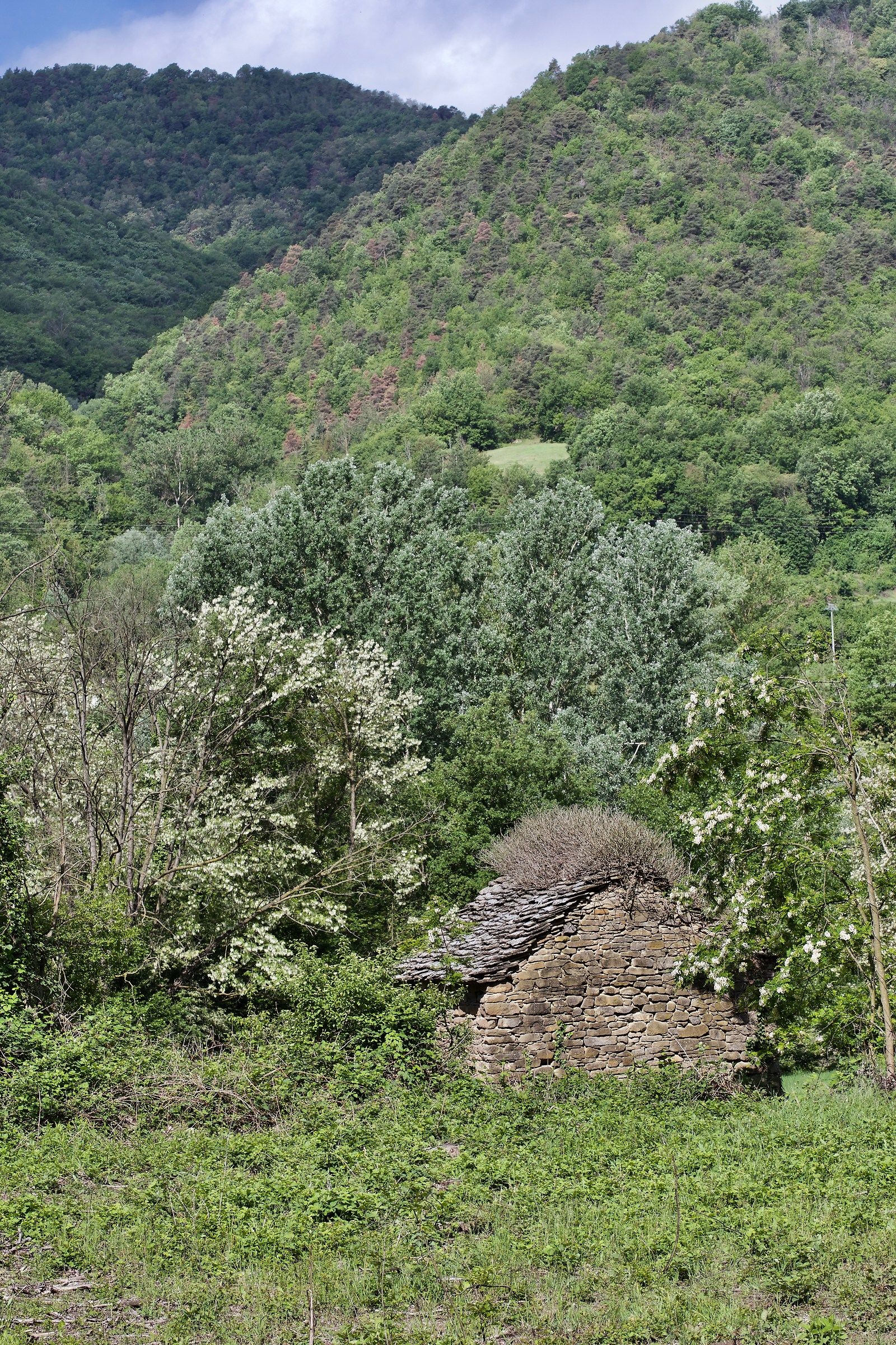 Ciabòt alle Violette (Levice)