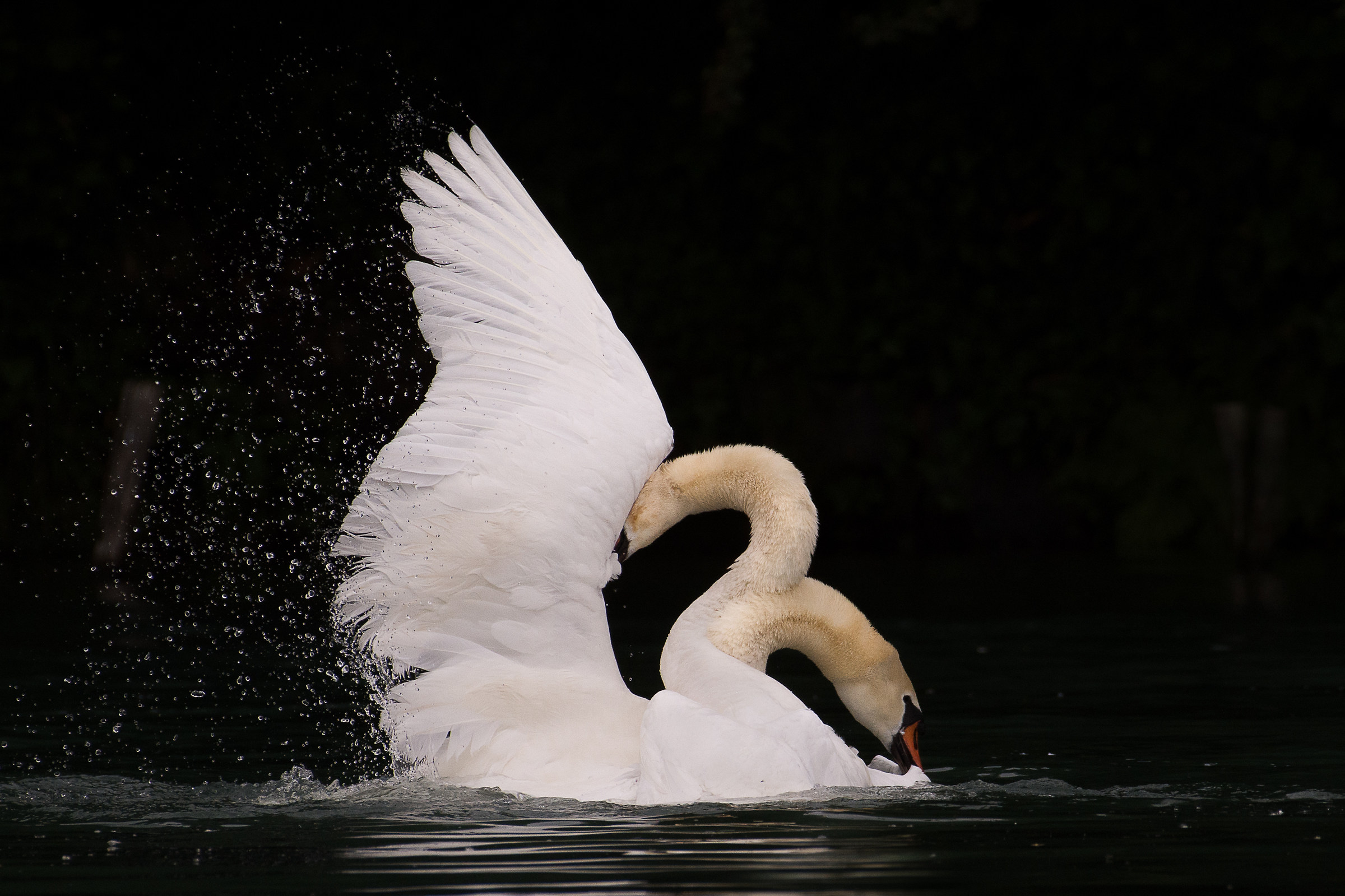 The dispute continues