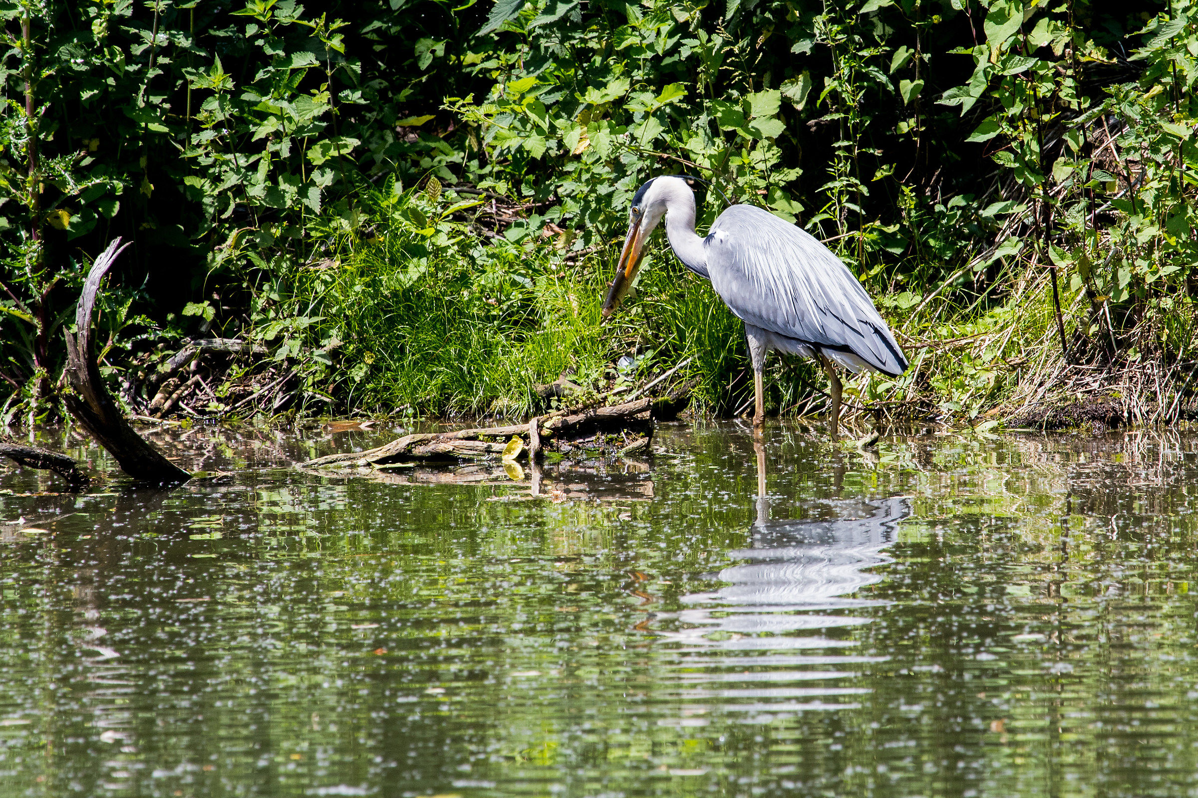 Due amici in pausa pranzo