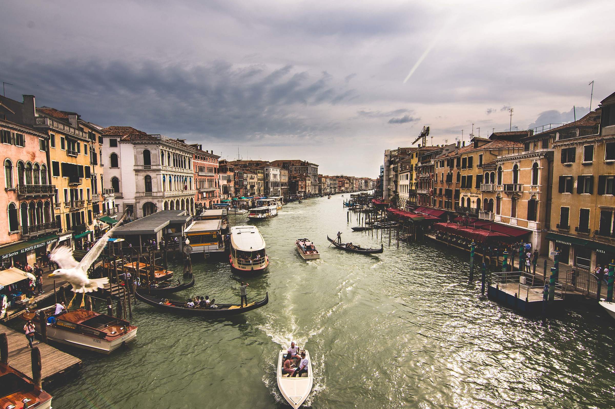 Hectic Venice