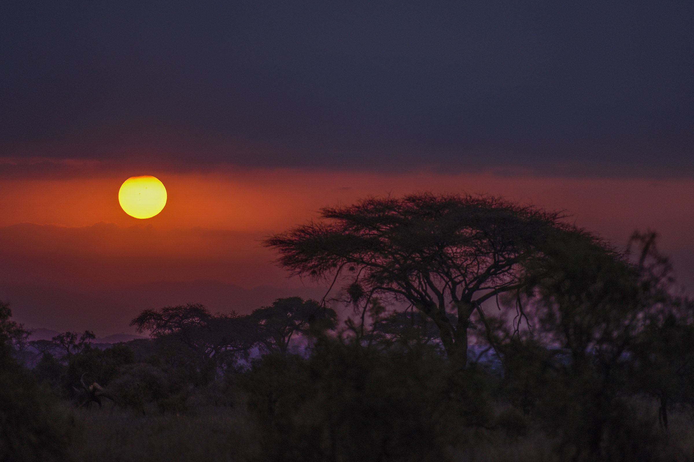 il colore che scalda il cuore