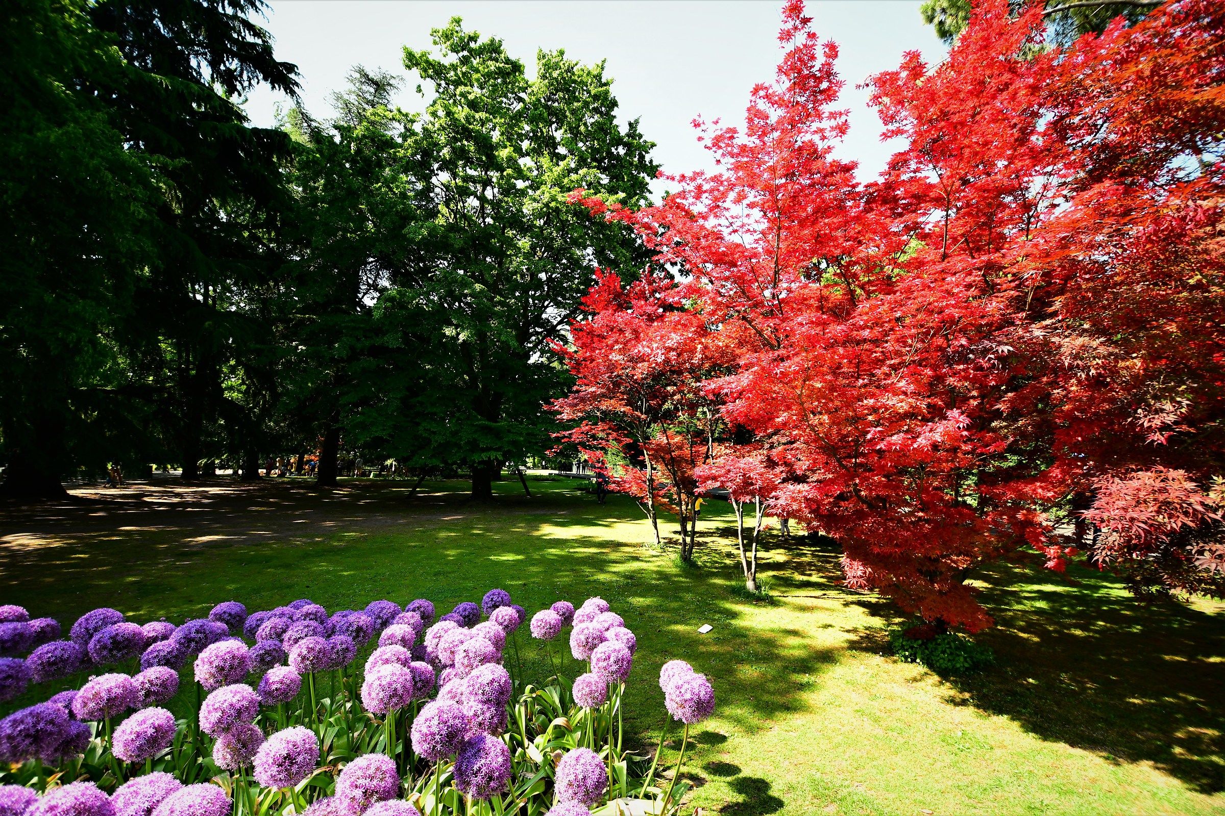 borghetto park on the mincio