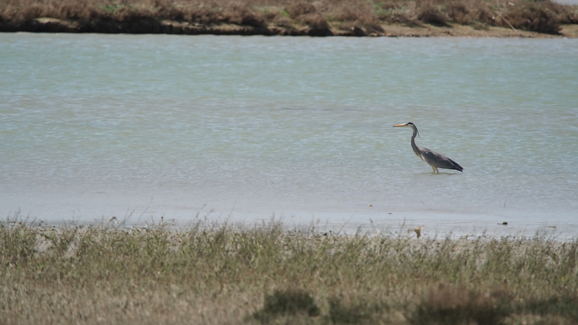 Ready to Spica Flight/Oly EM5 MARK2 + 40-150 2.8